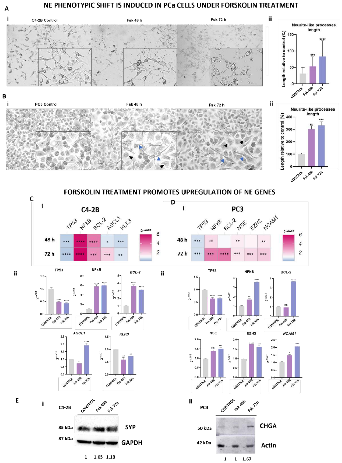 Preprints 215704 g005 Preprints 215704 g005