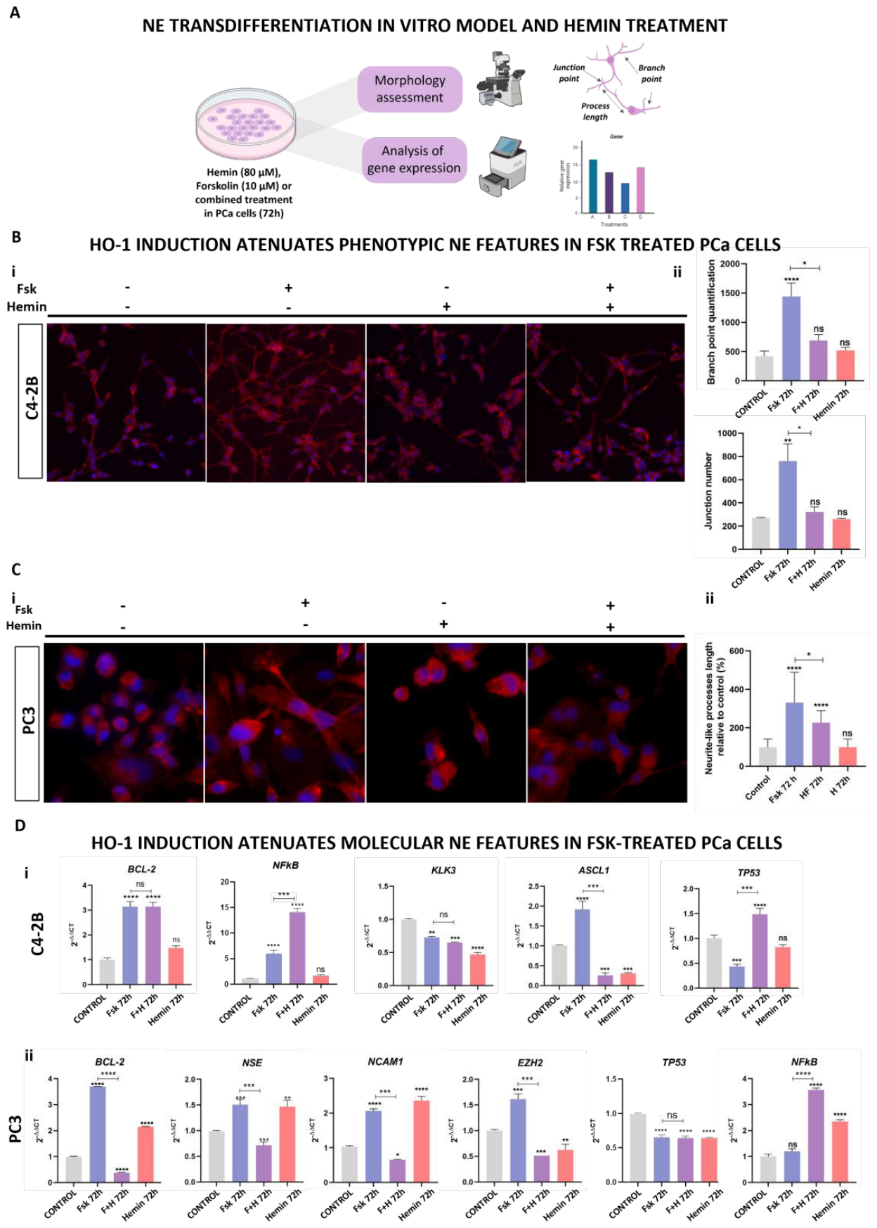 Preprints 215704 g006 Preprints 215704 g006