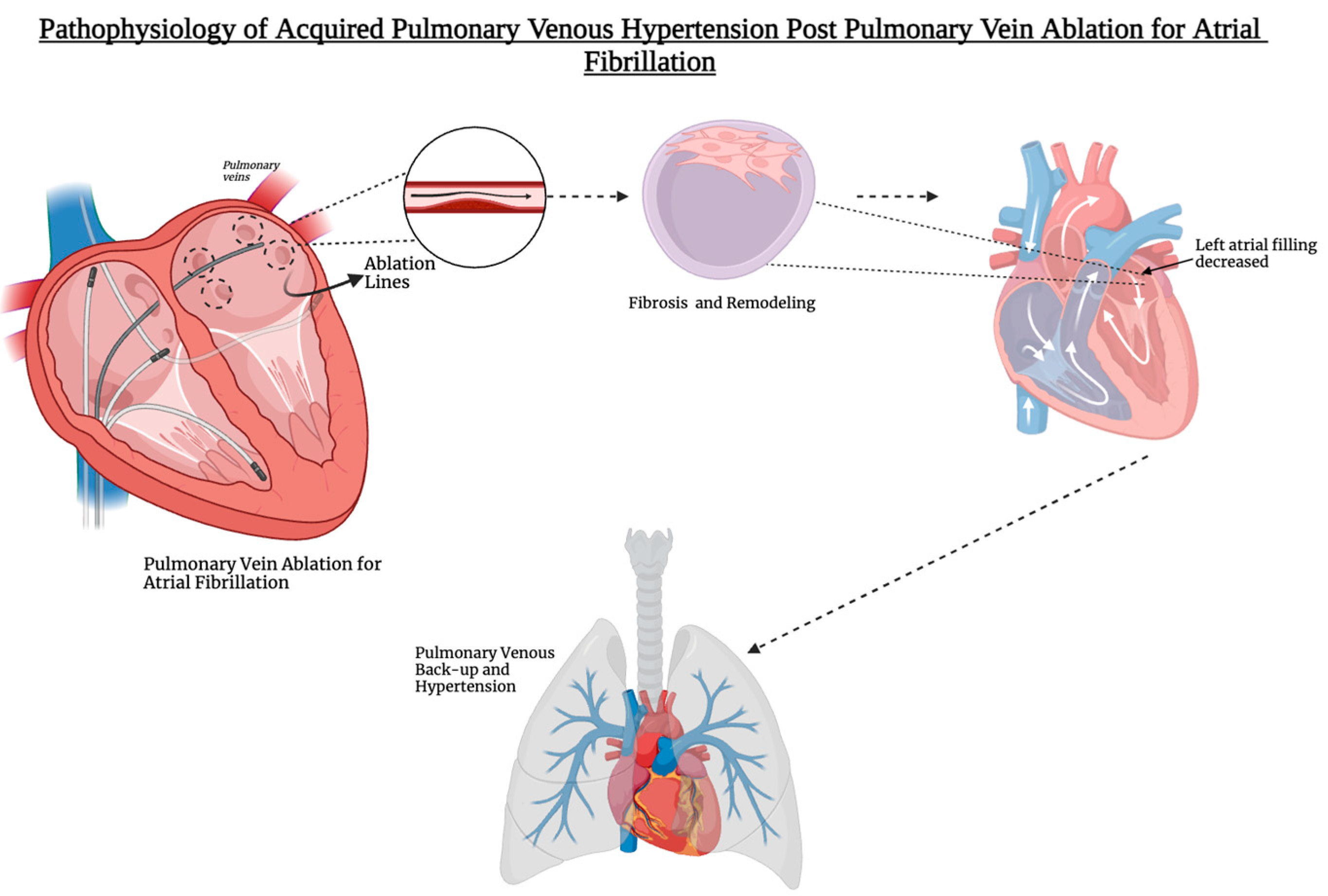 Preprints 117873 g001