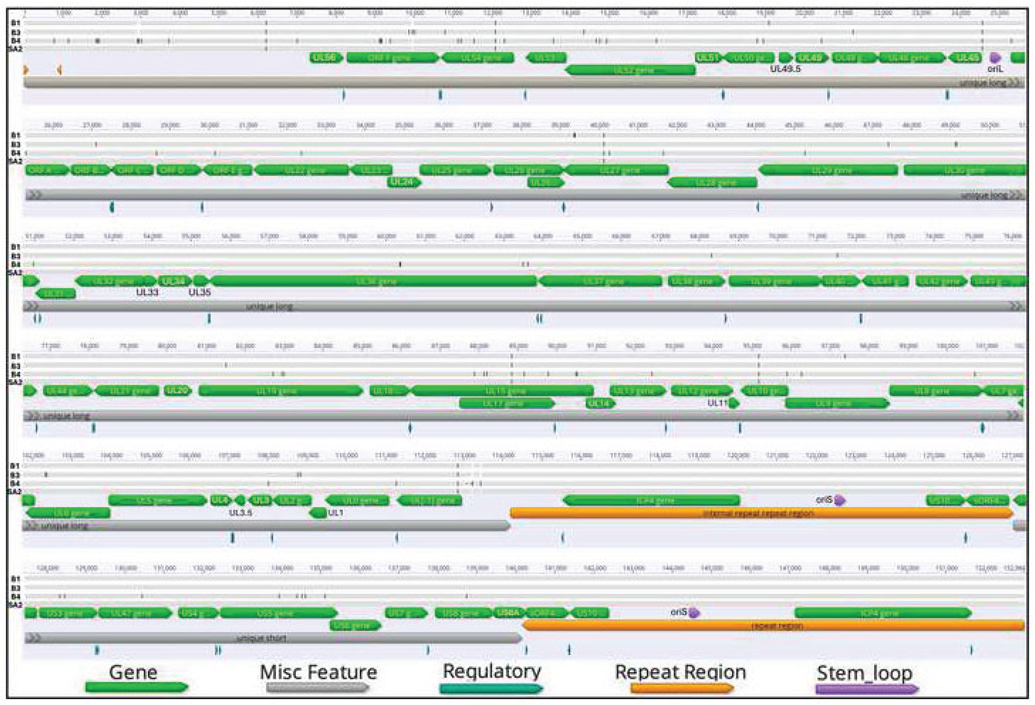 Preprints 197083 g001