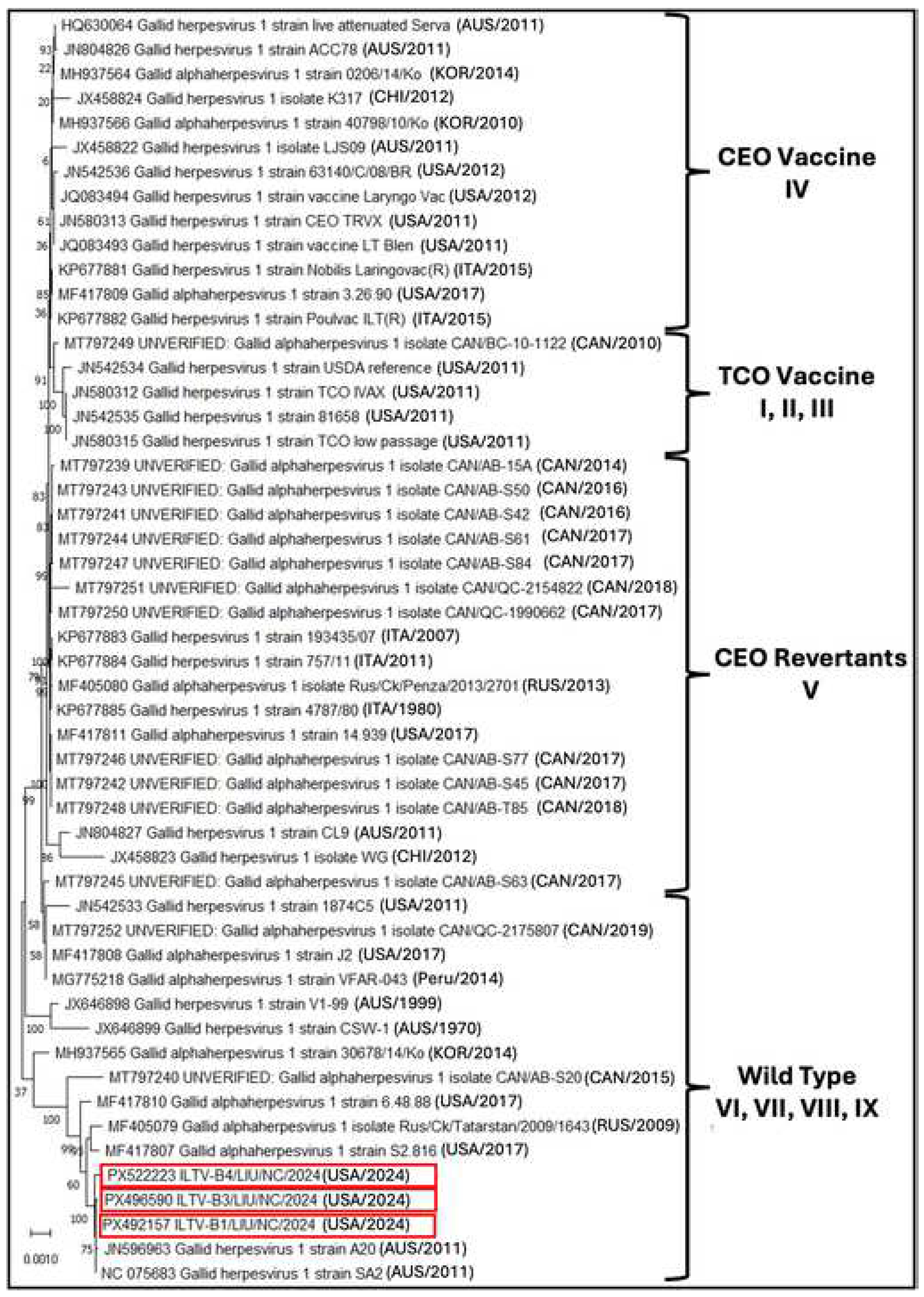 Preprints 197083 g003