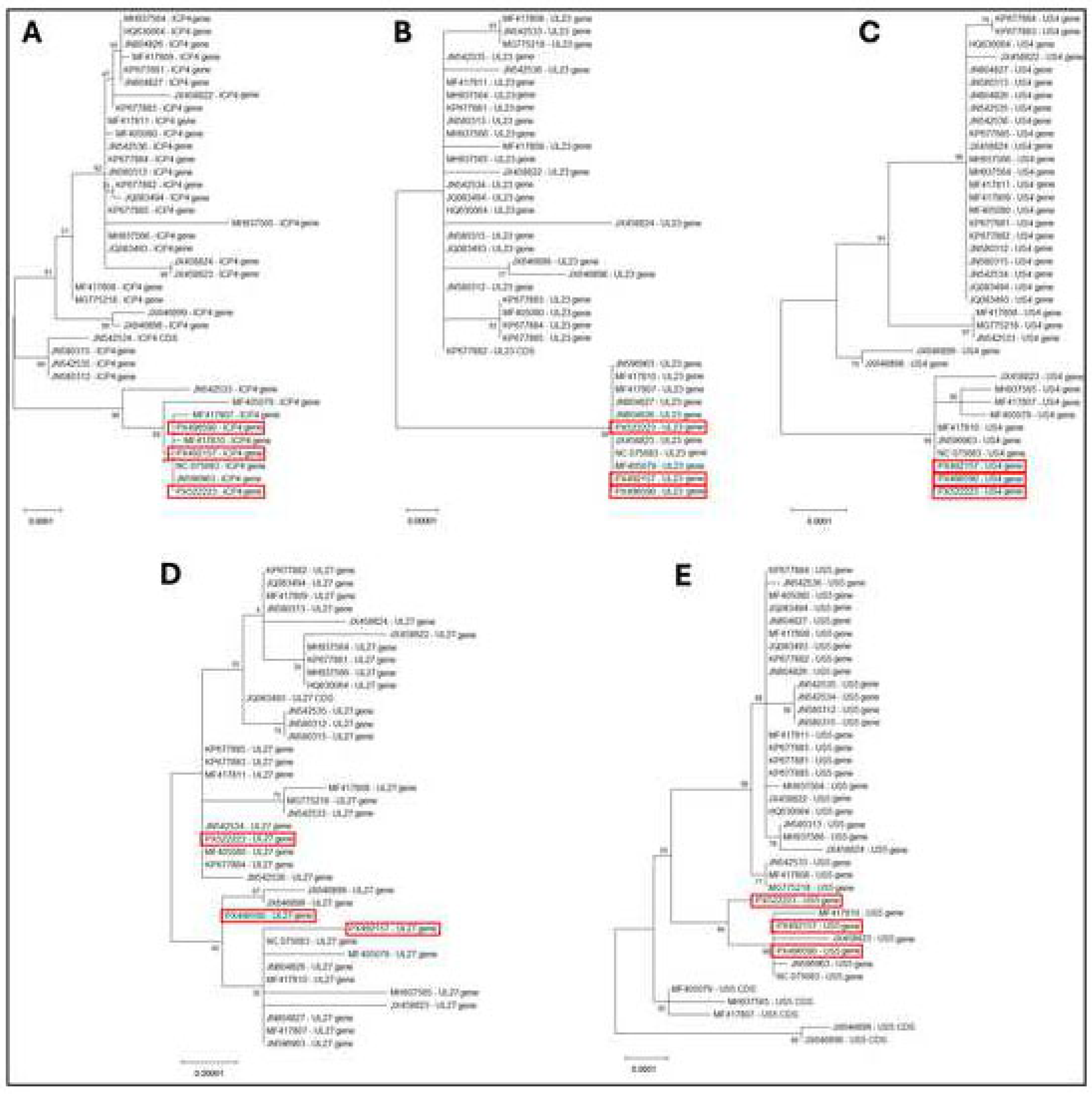 Preprints 197083 g004