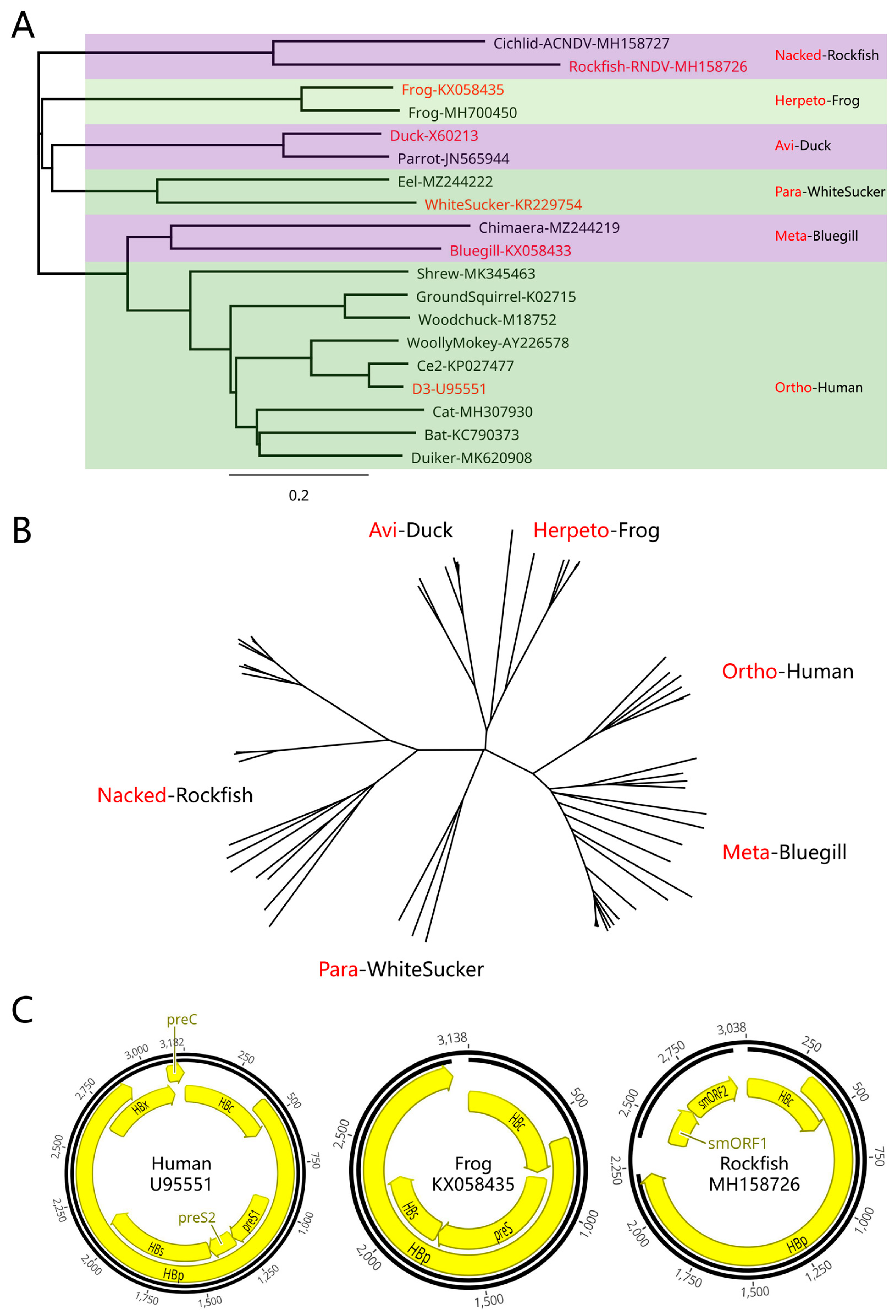 Preprints 90960 g001