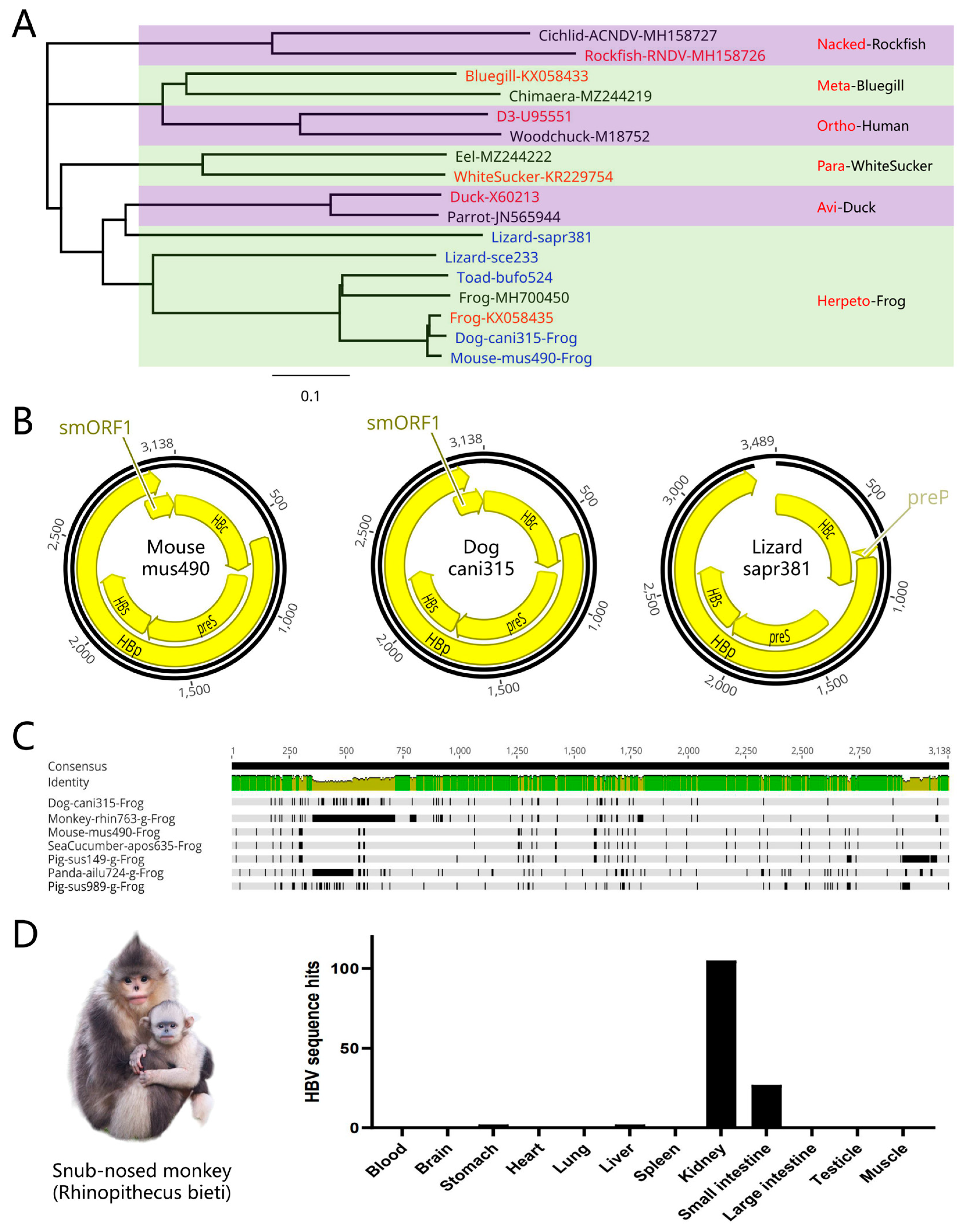 Preprints 90960 g002