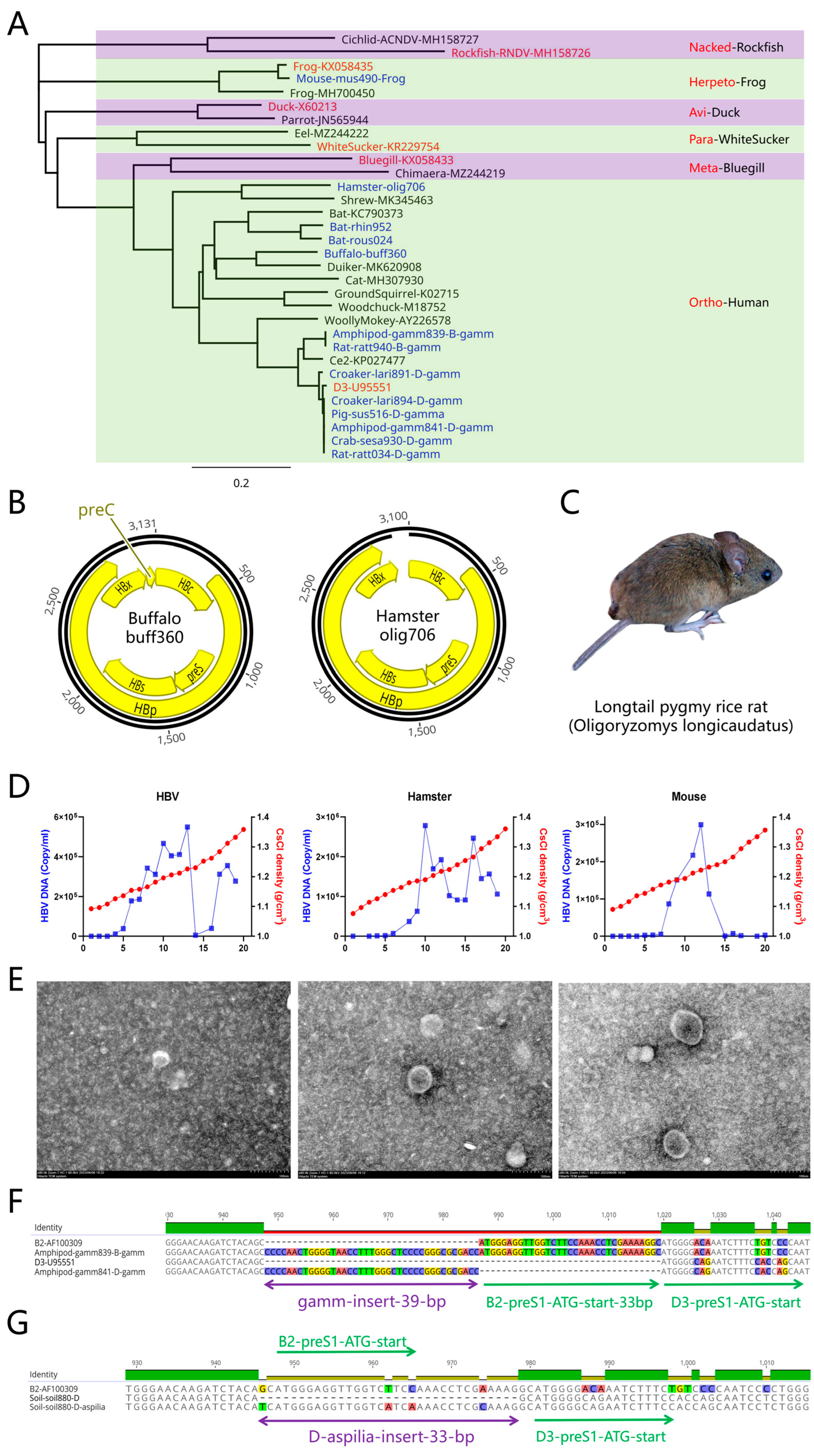 Preprints 90960 g003