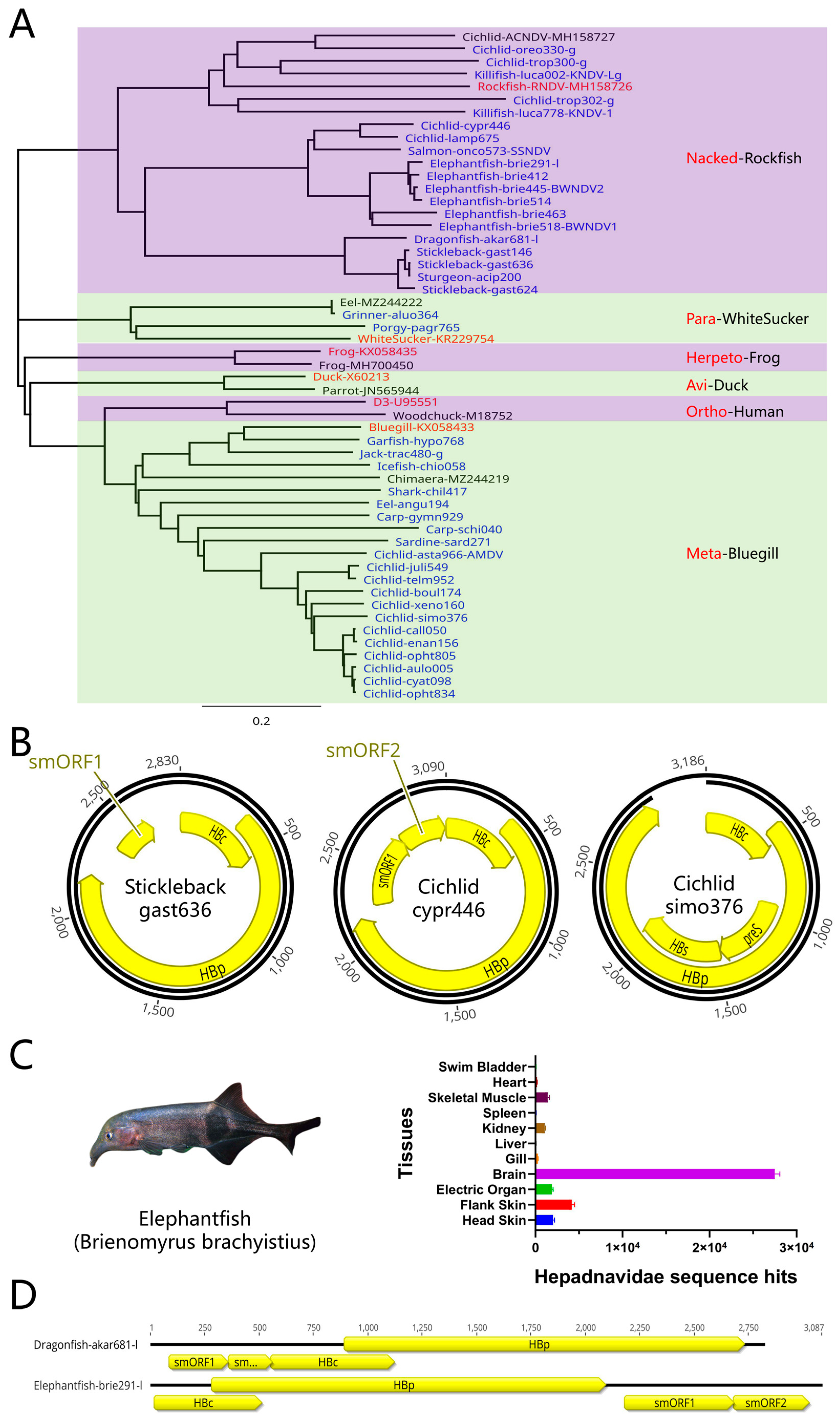 Preprints 90960 g004