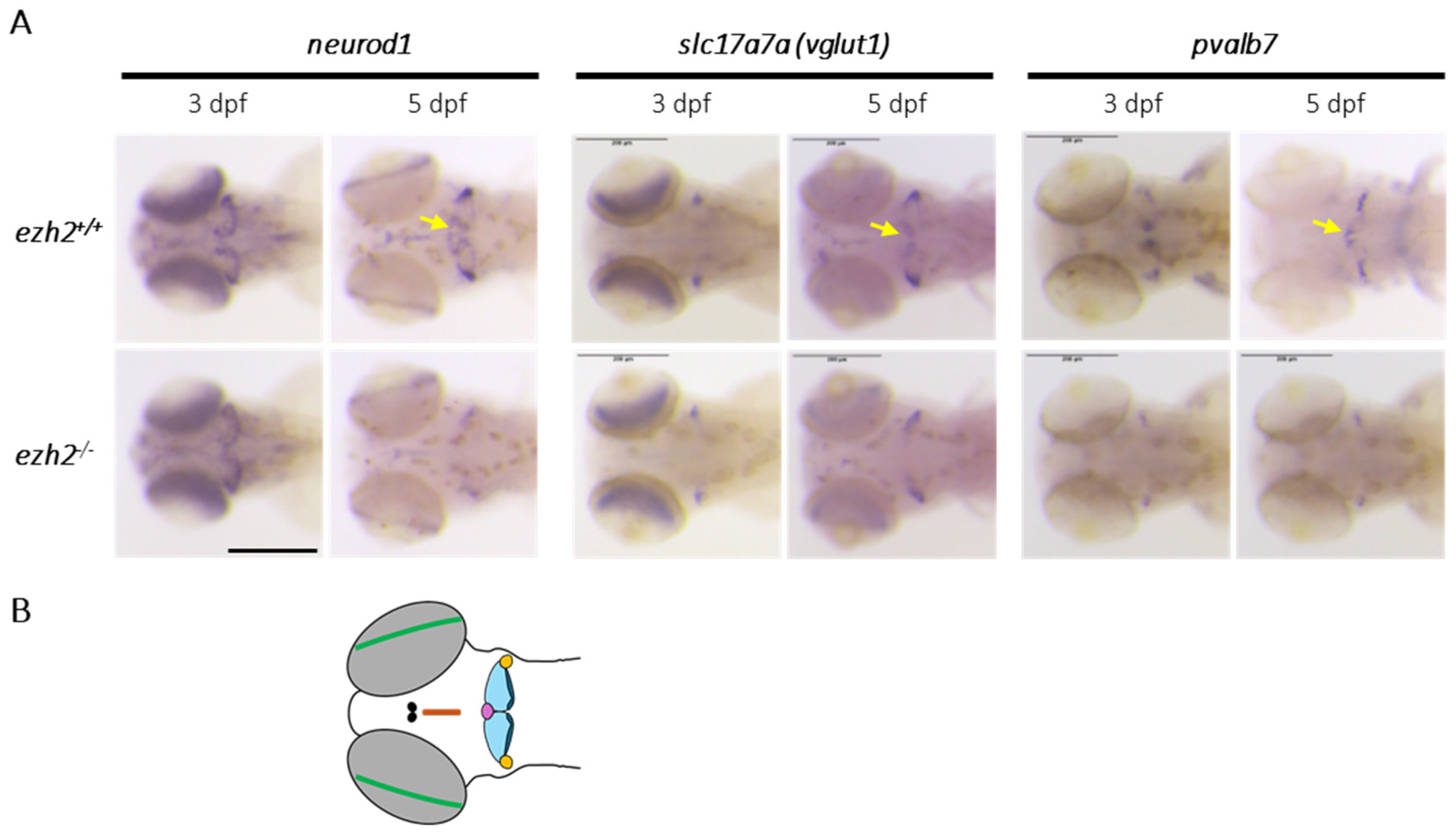 Preprints 178508 g004