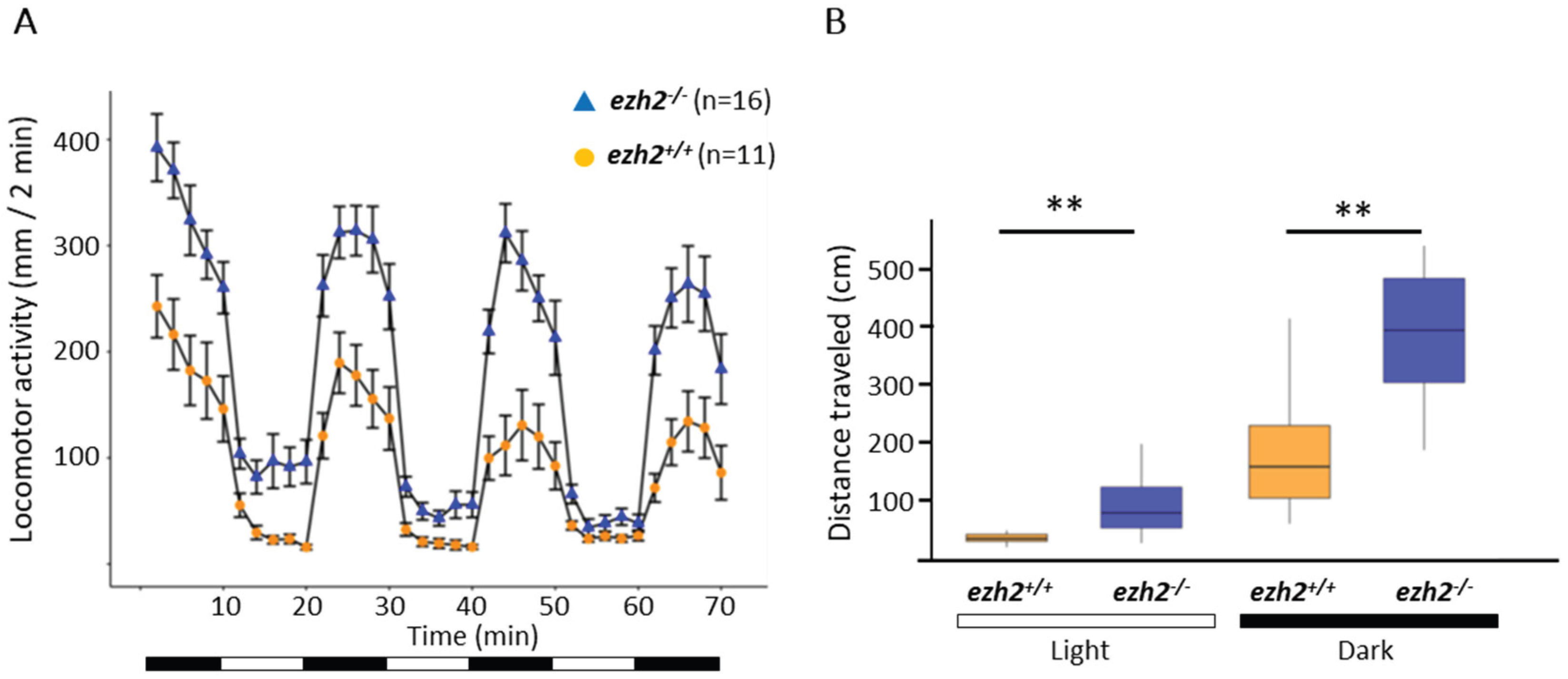 Preprints 178508 g006