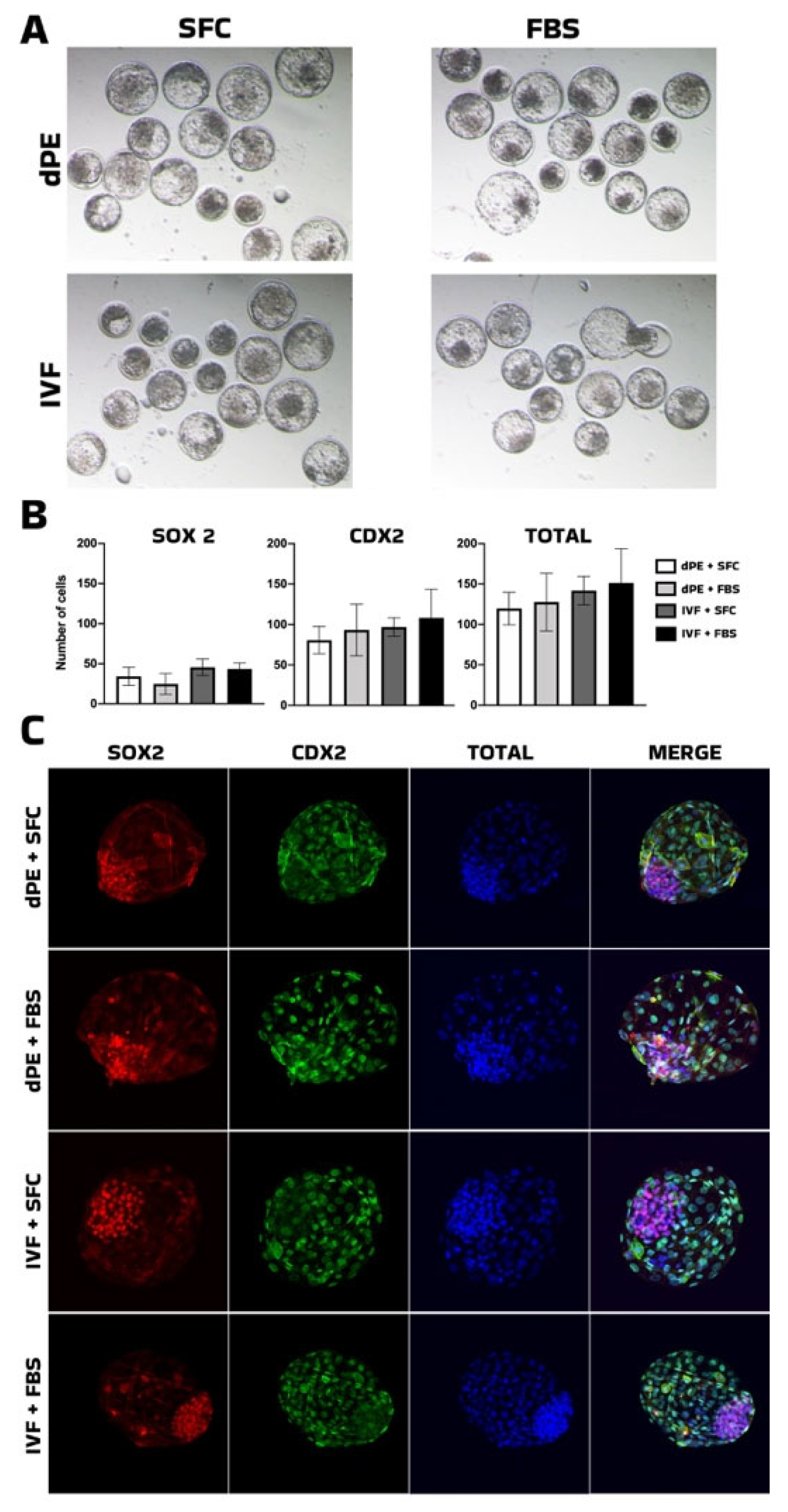 Preprints 202190 g001