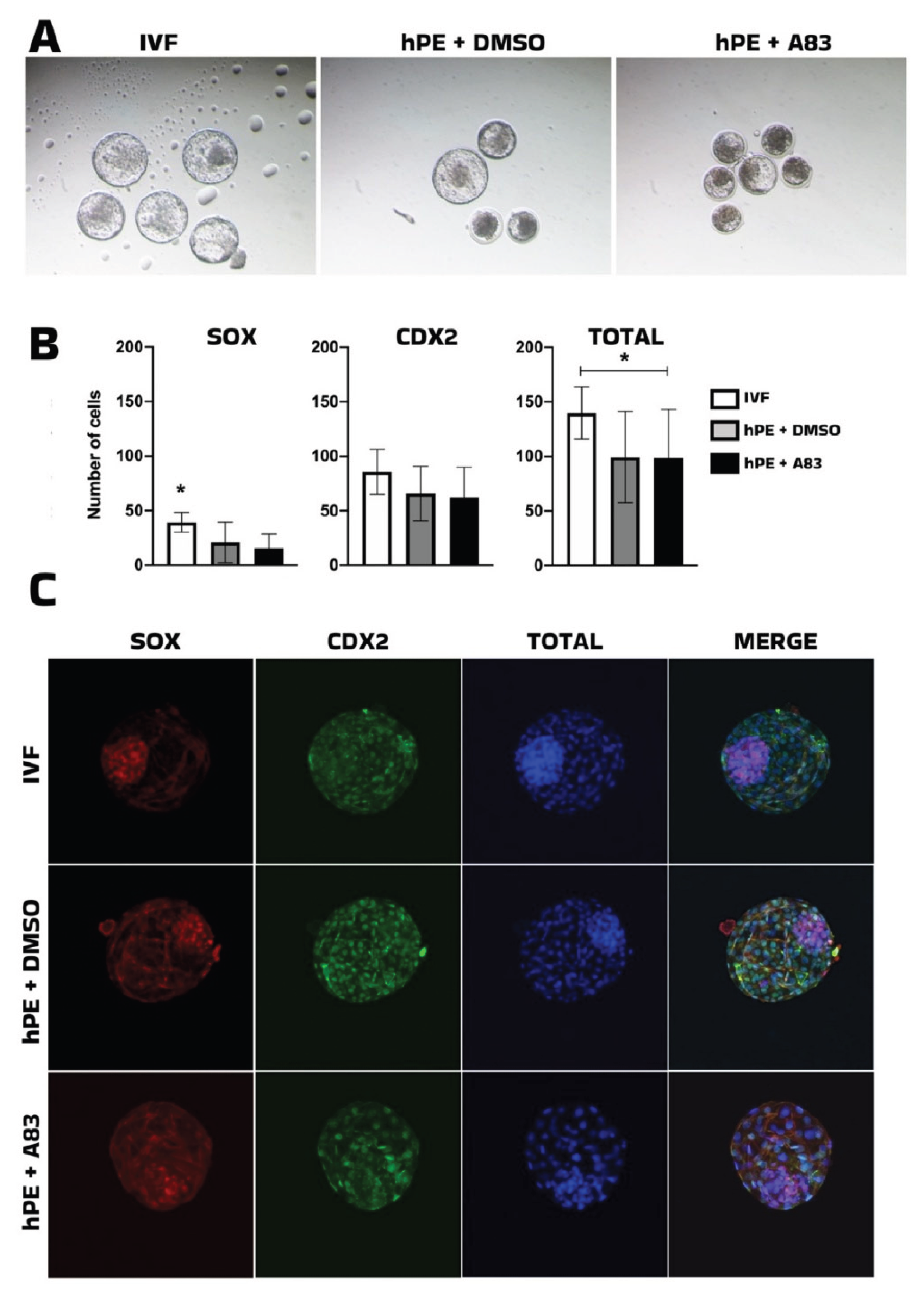 Preprints 202190 g002
