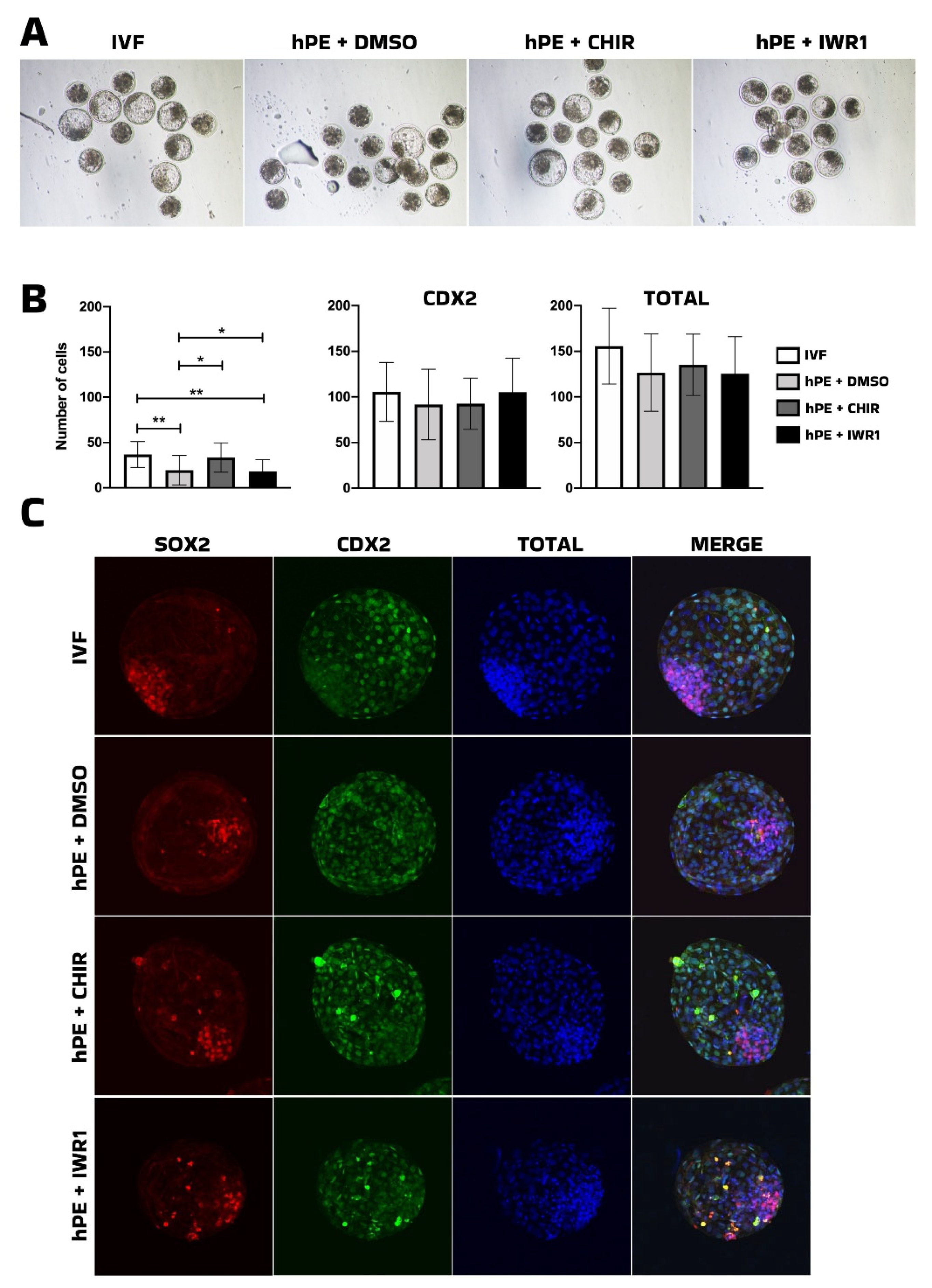 Preprints 202190 g003