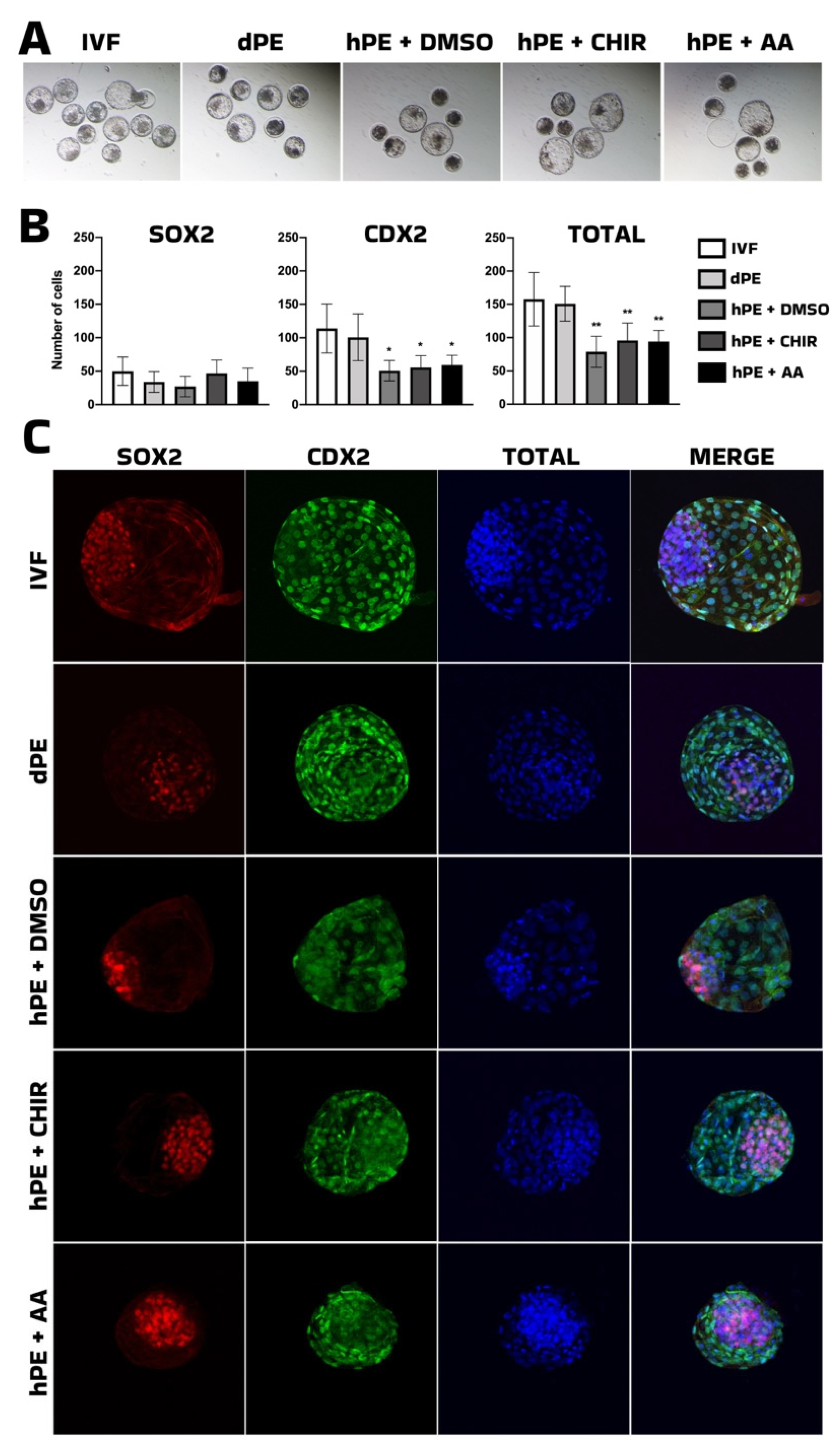 Preprints 202190 g004