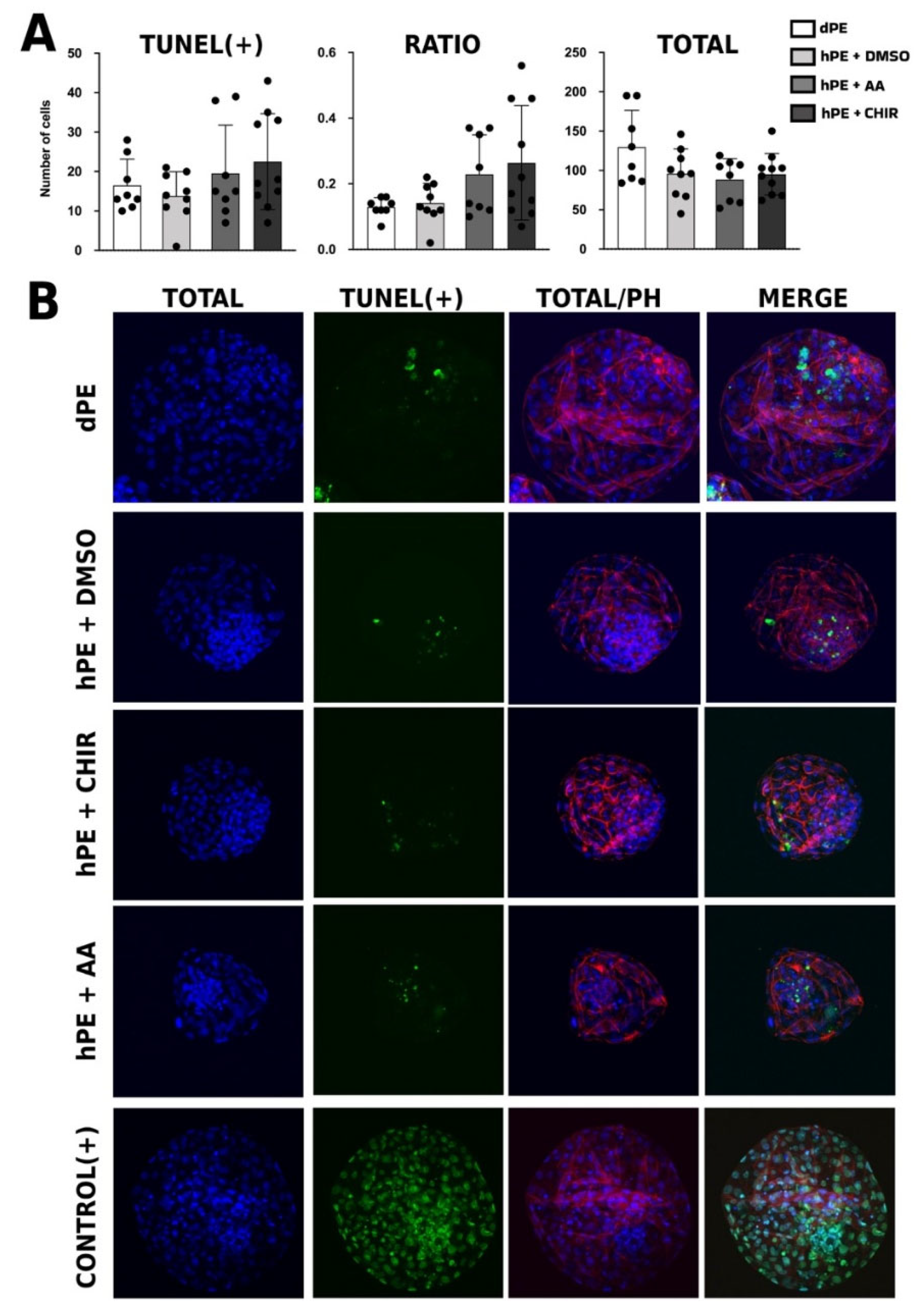 Preprints 202190 g005