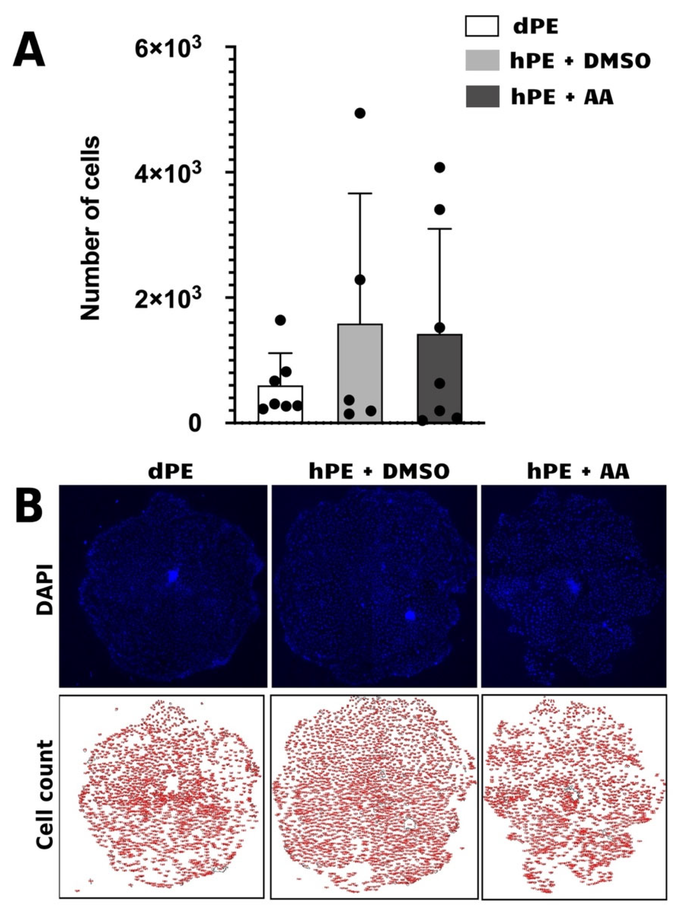 Preprints 202190 g006