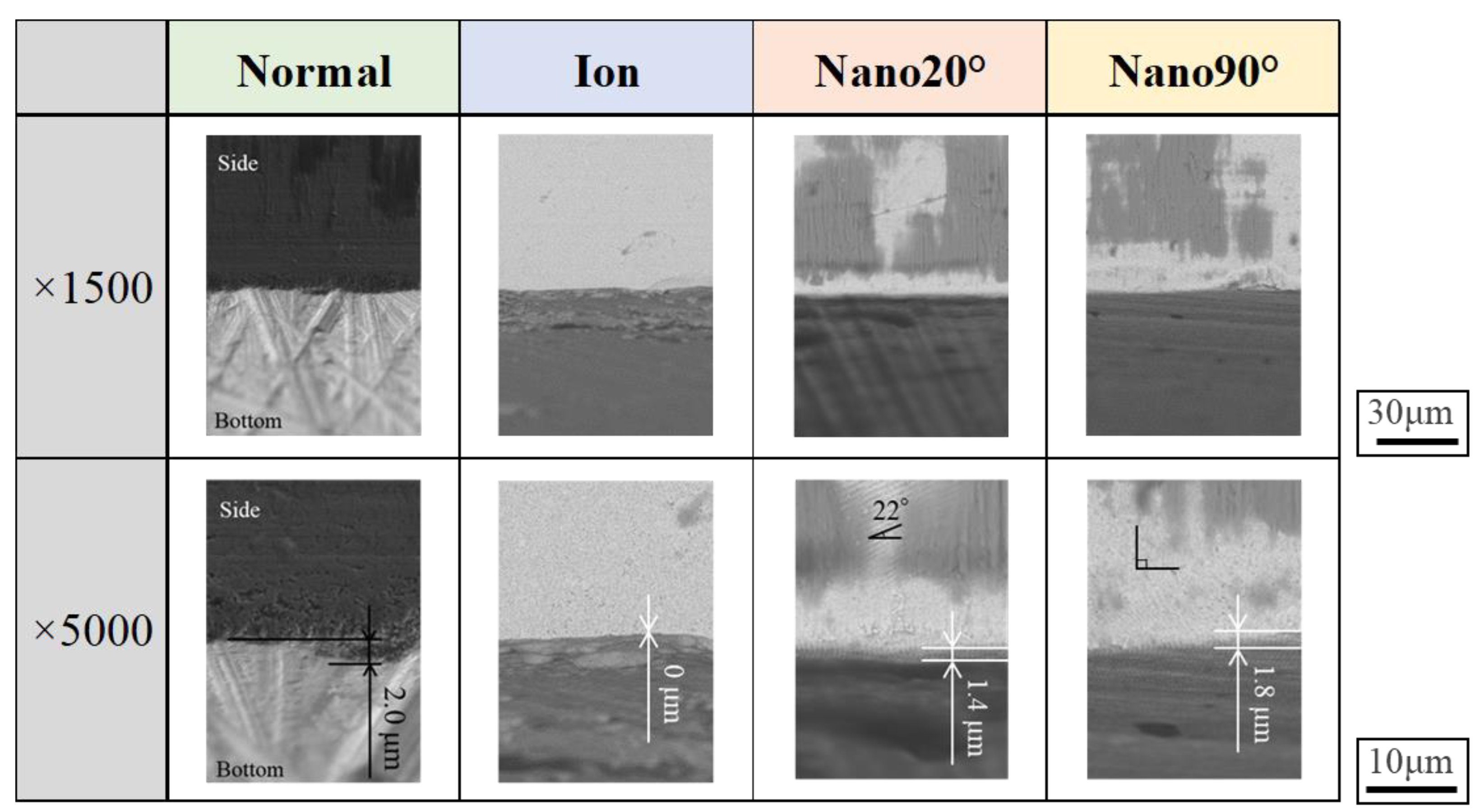 Preprints 144958 g002