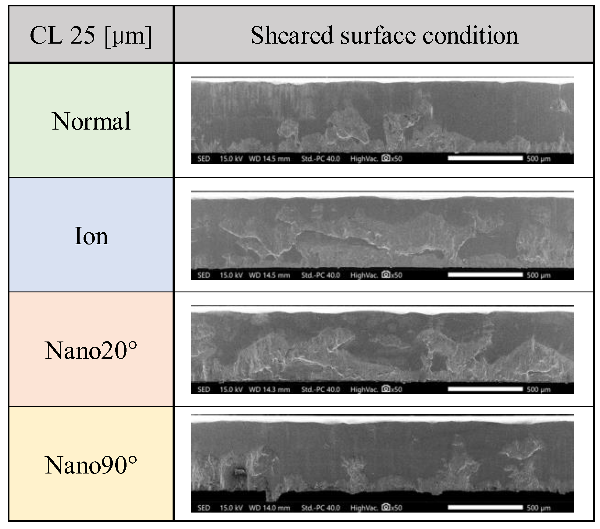 Preprints 144958 g005