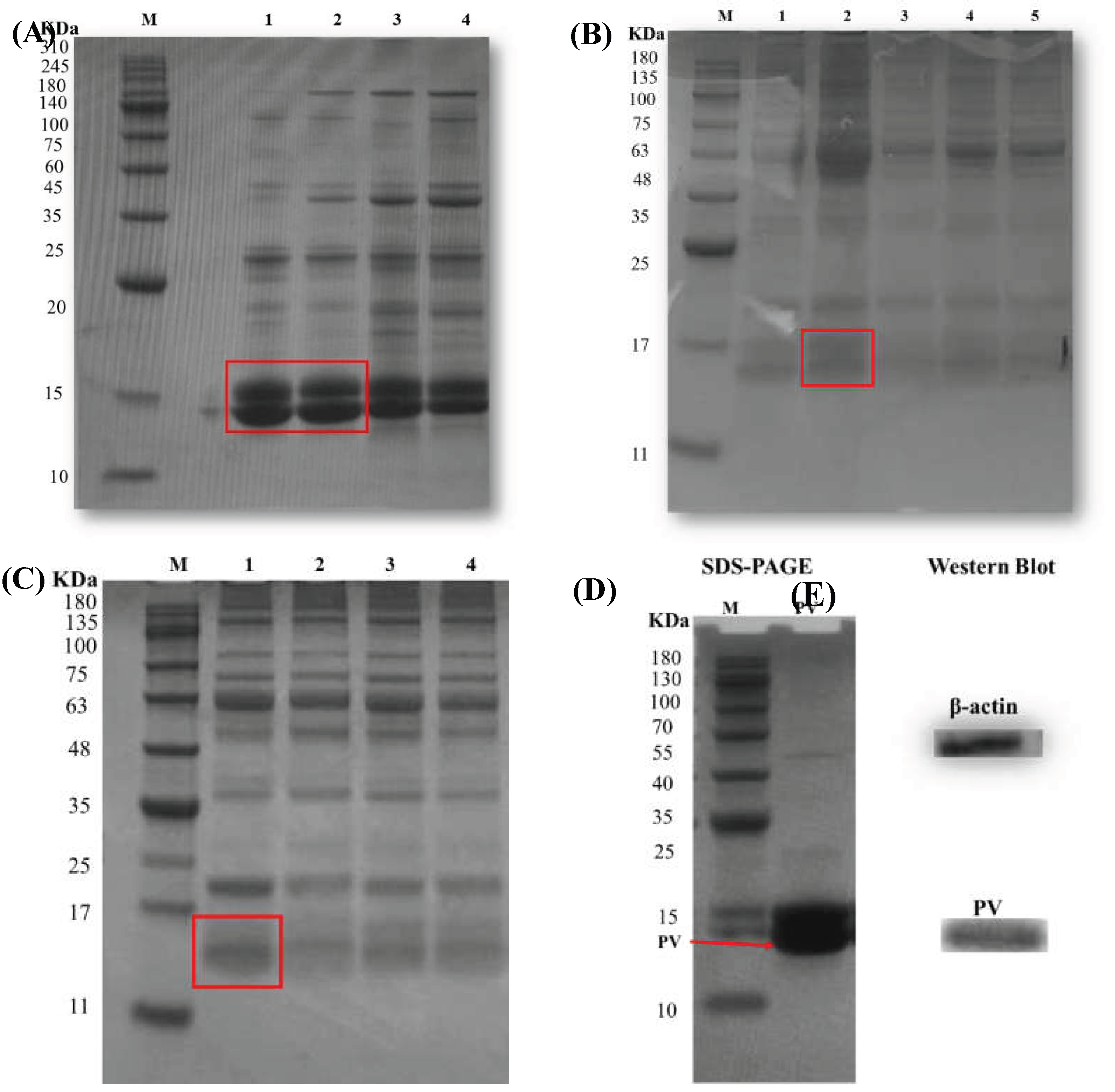 Preprints 199114 g001