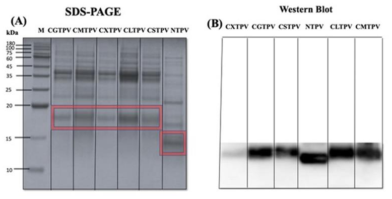Preprints 199114 g003