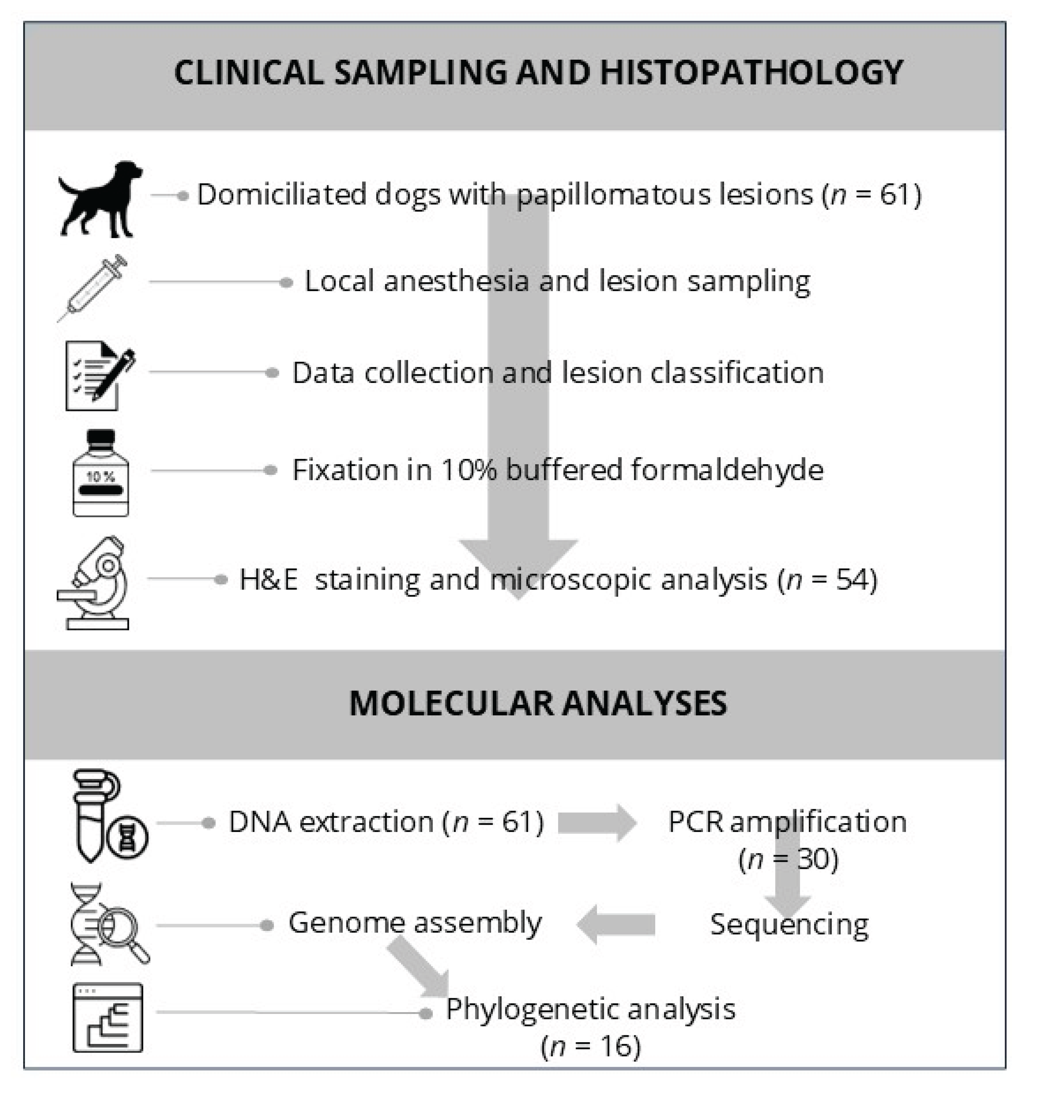 Preprints 164885 g001