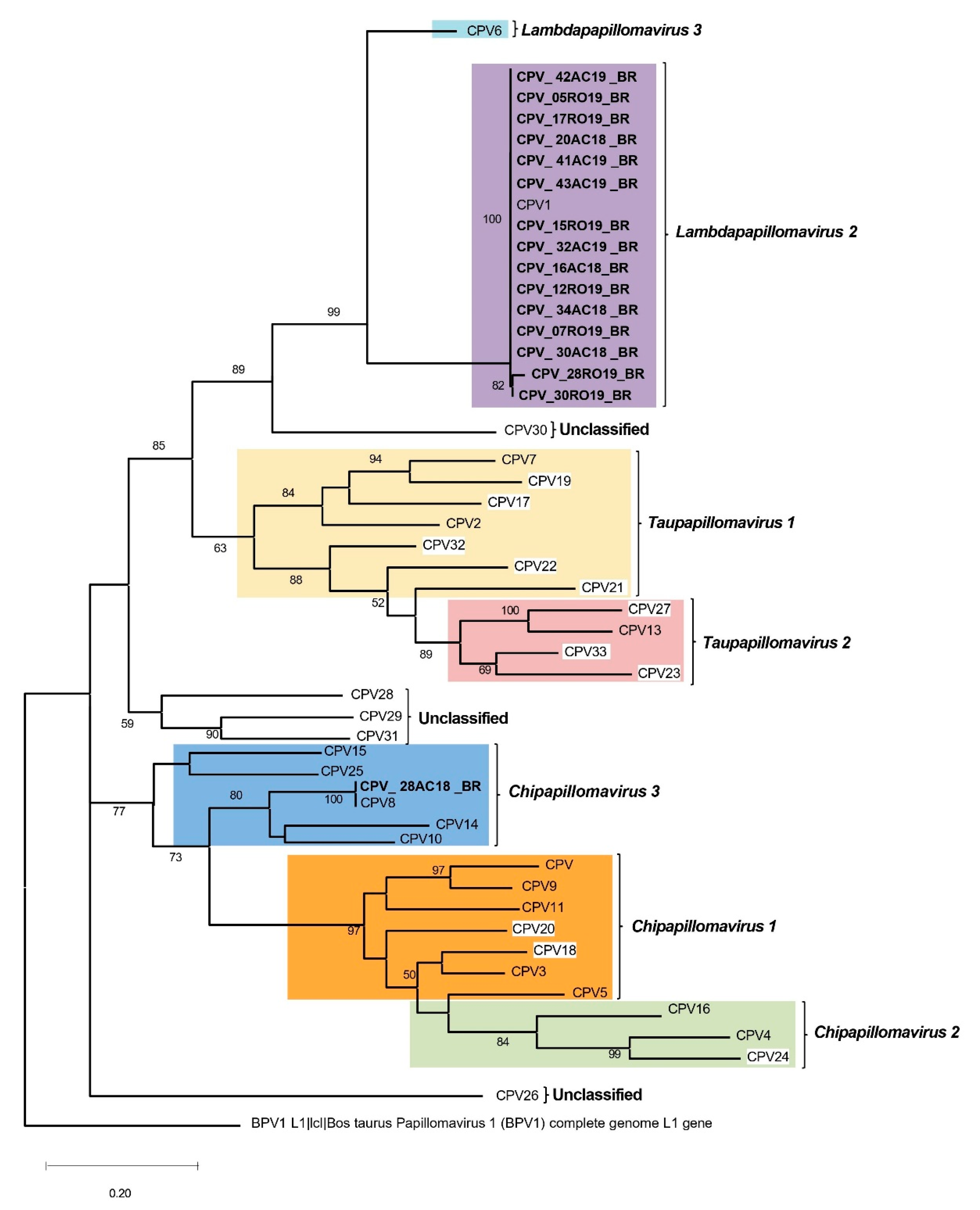 Preprints 164885 g005
