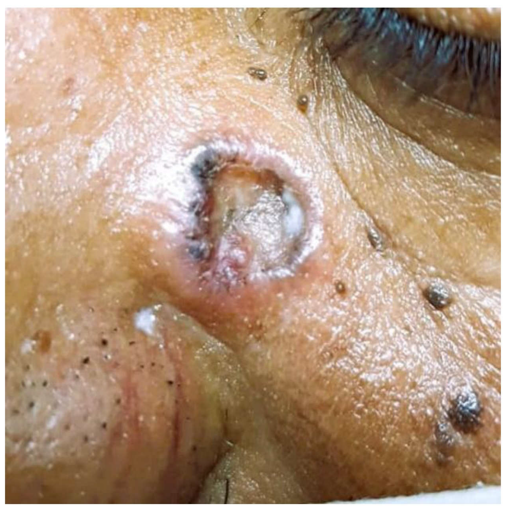 Preprints 198755 g001