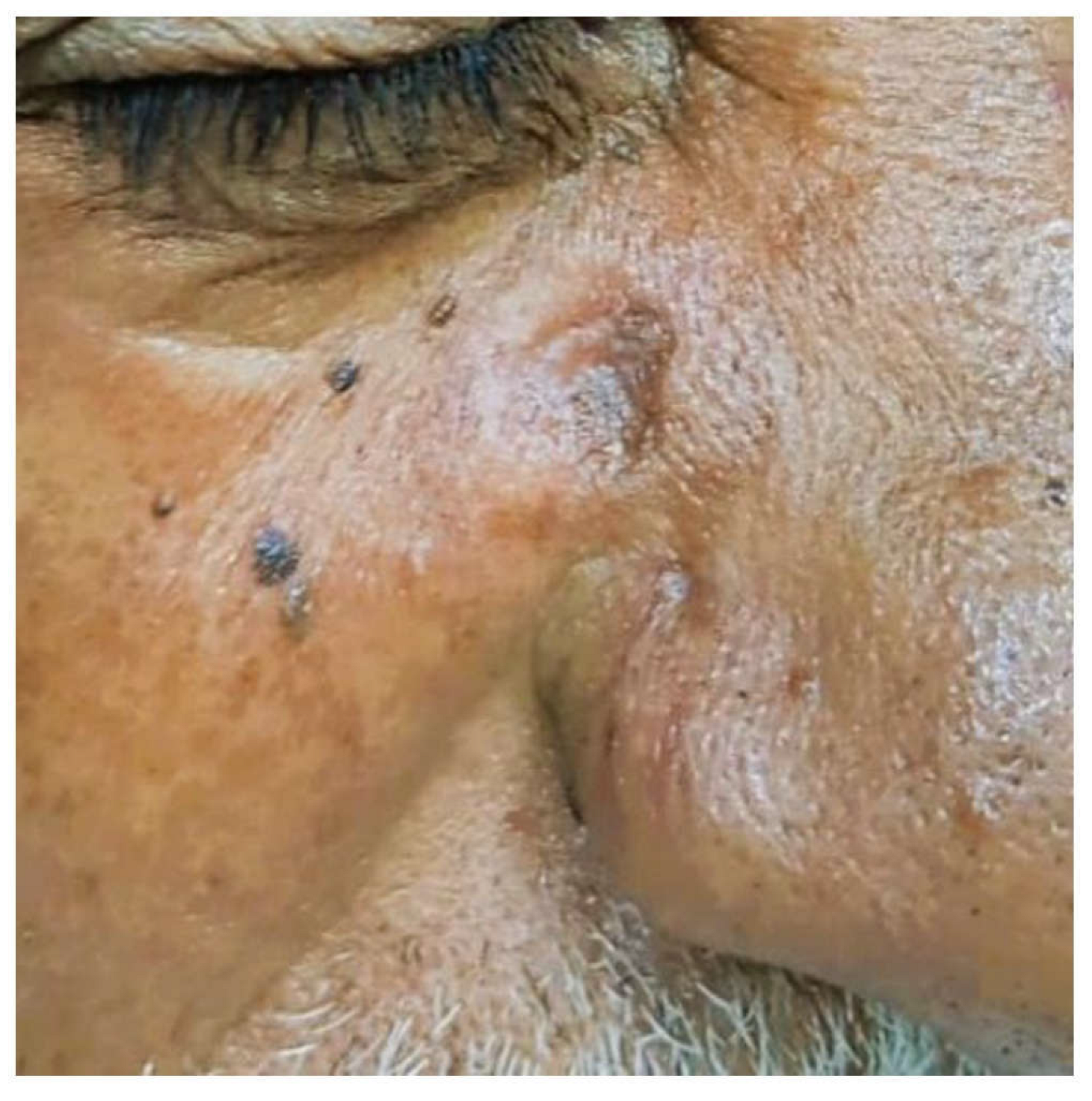 Preprints 198755 g002