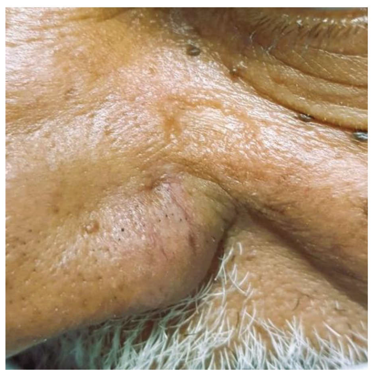 Preprints 198755 g003