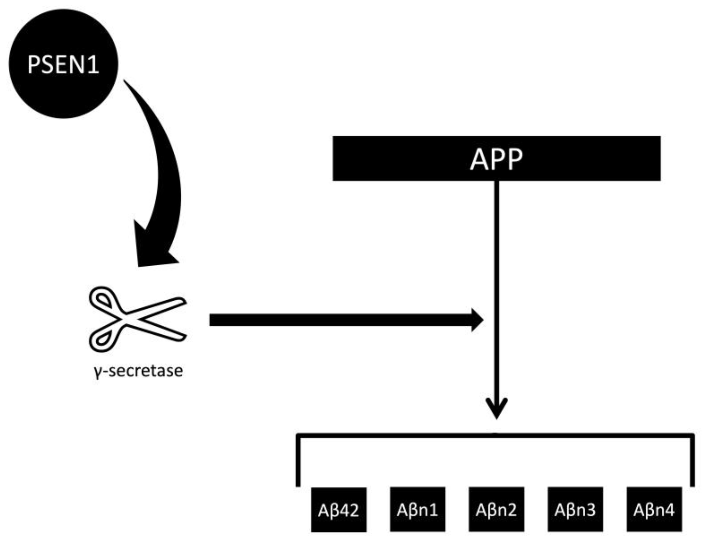Preprints 192055 g003