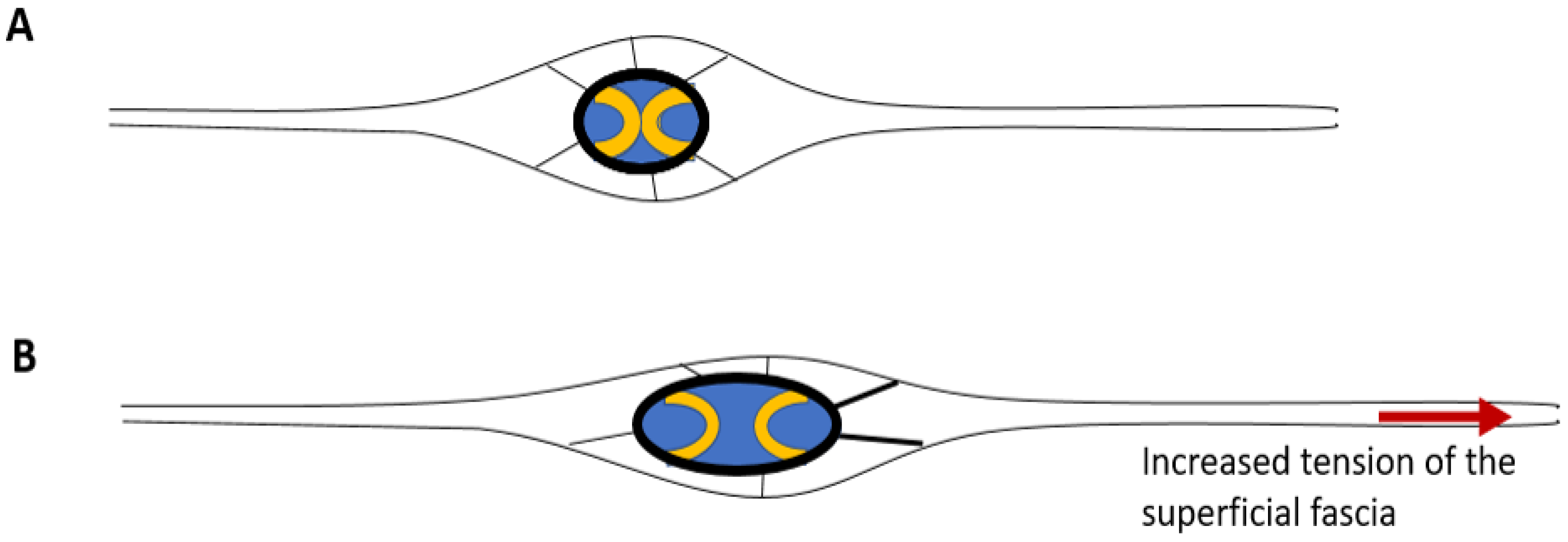 Preprints 143905 g002