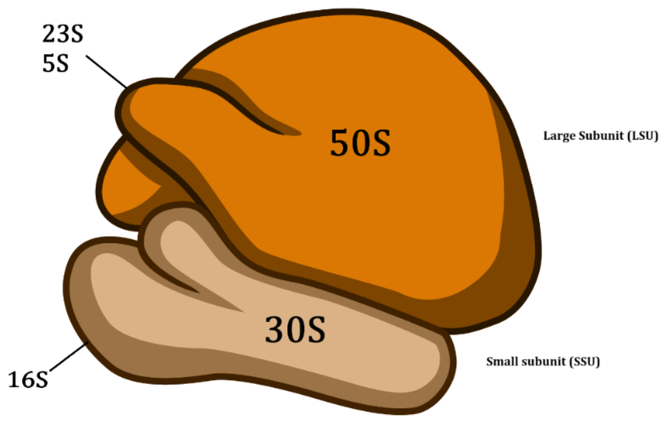 Preprints 153991 g001
