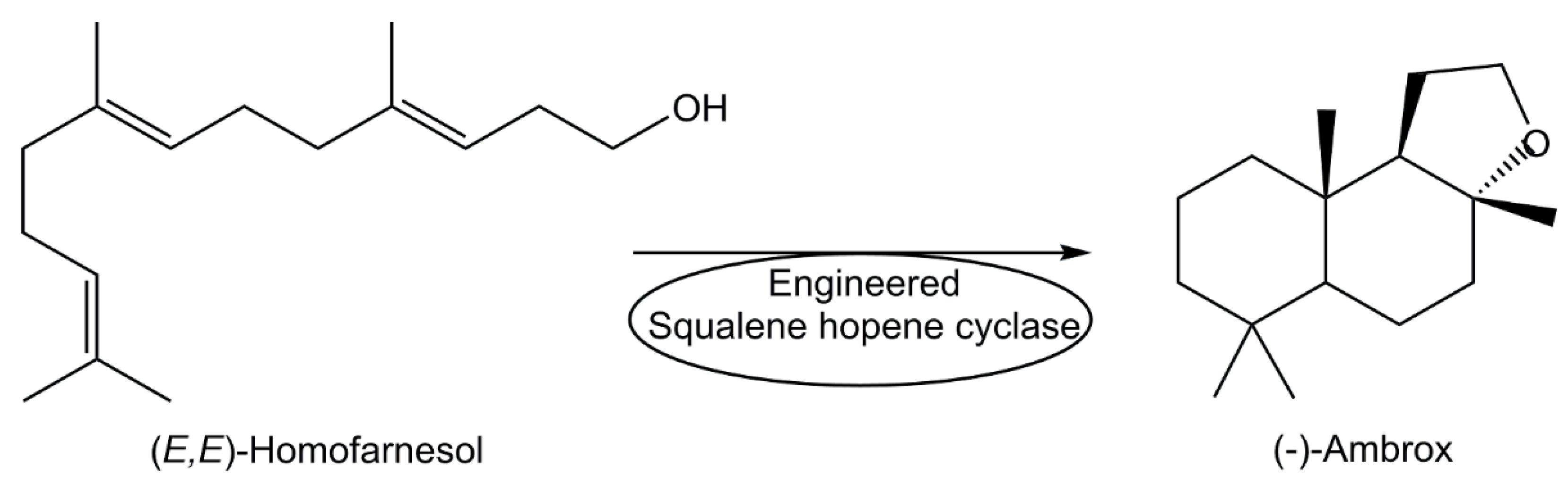 Preprints 82727 g004