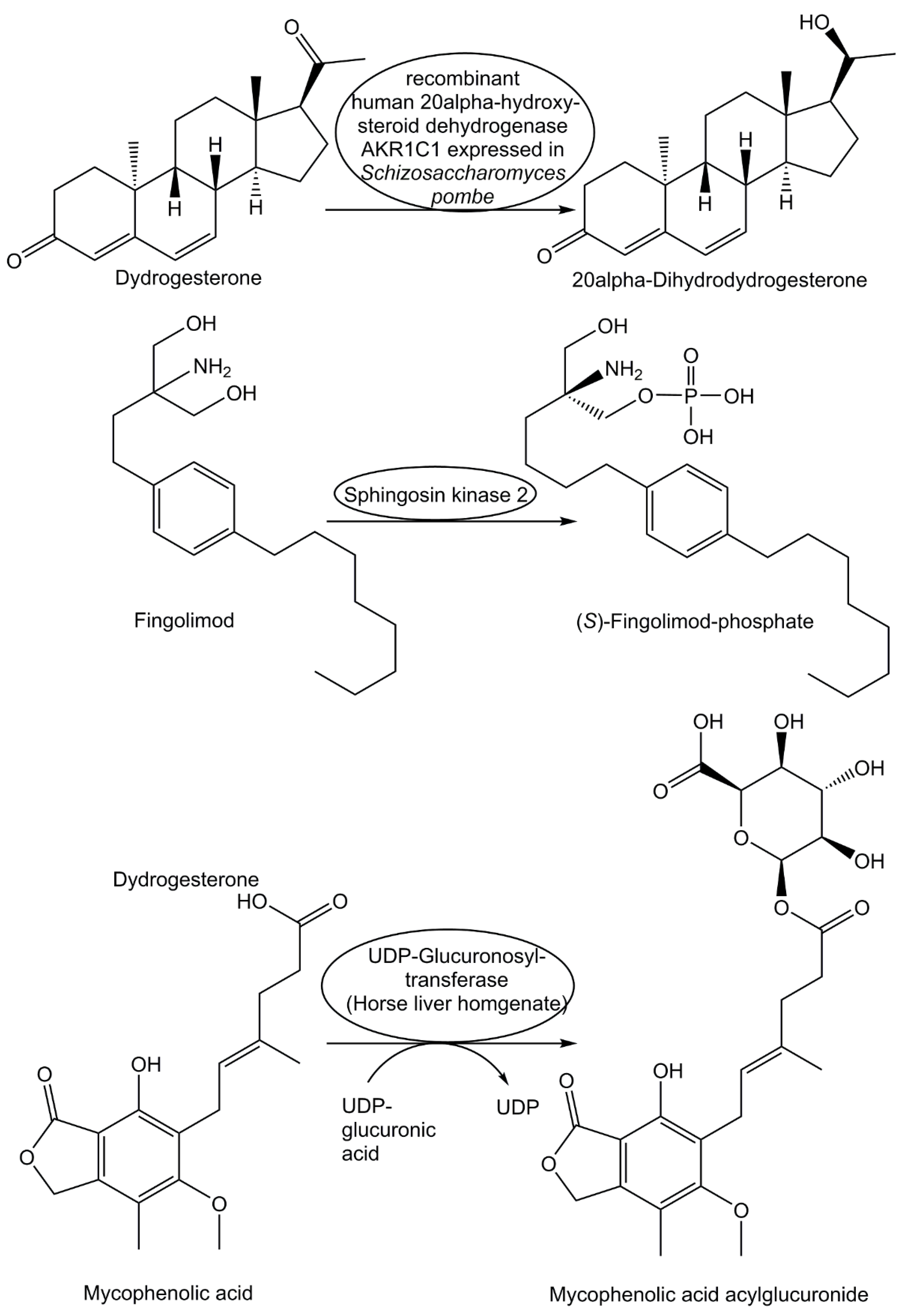 Preprints 82727 g006