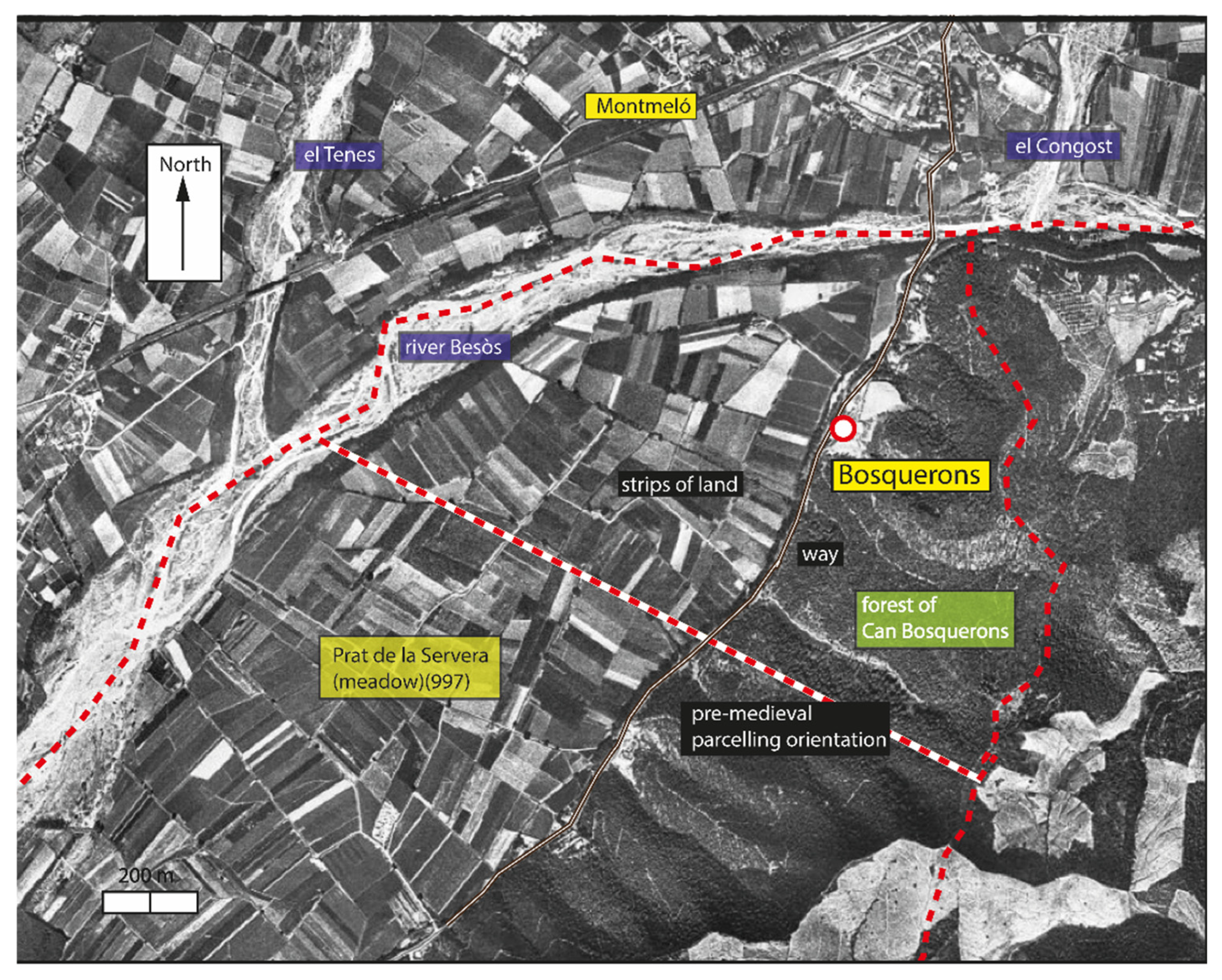 Preprints 192347 g008