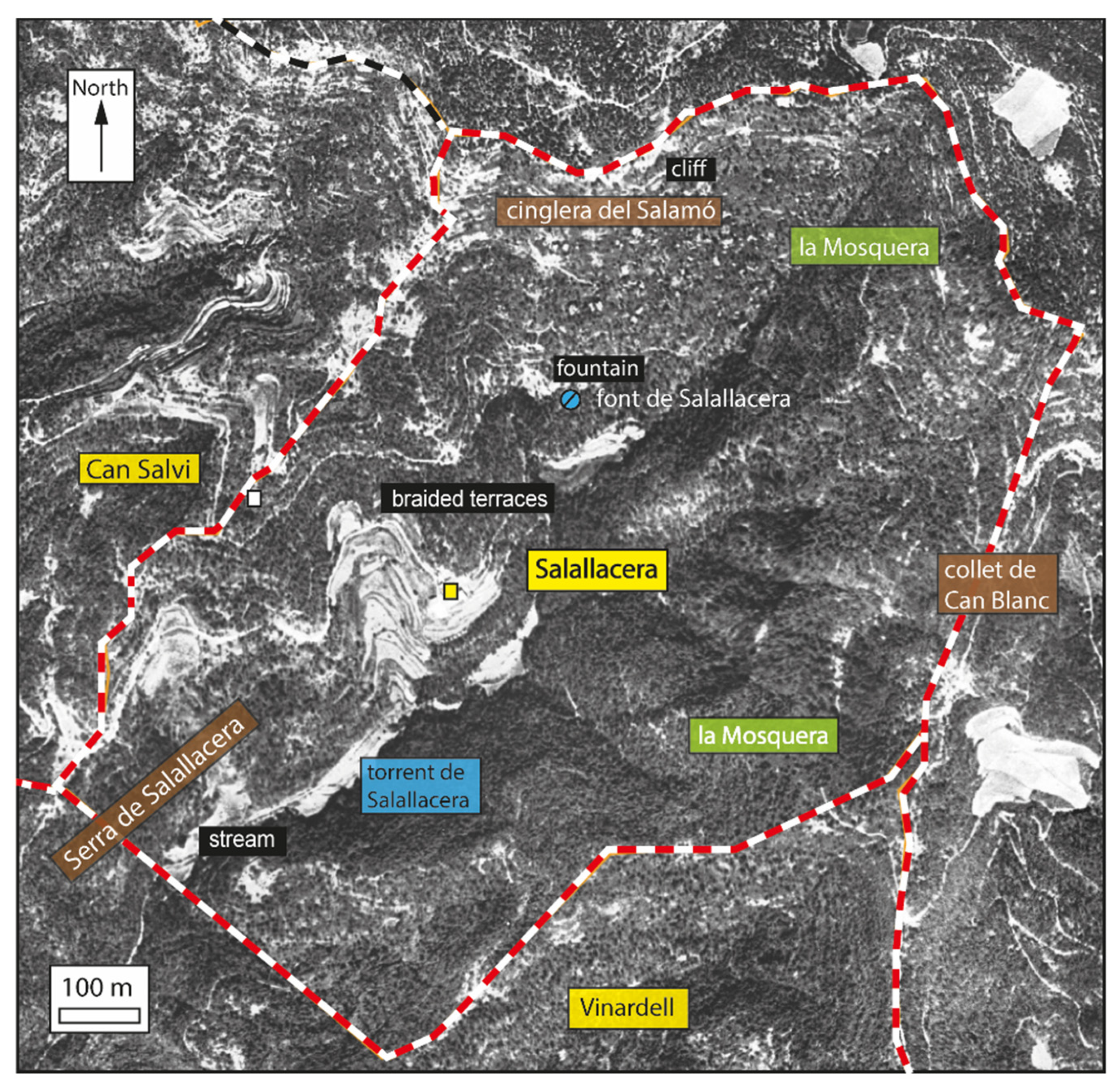 Preprints 192347 g009