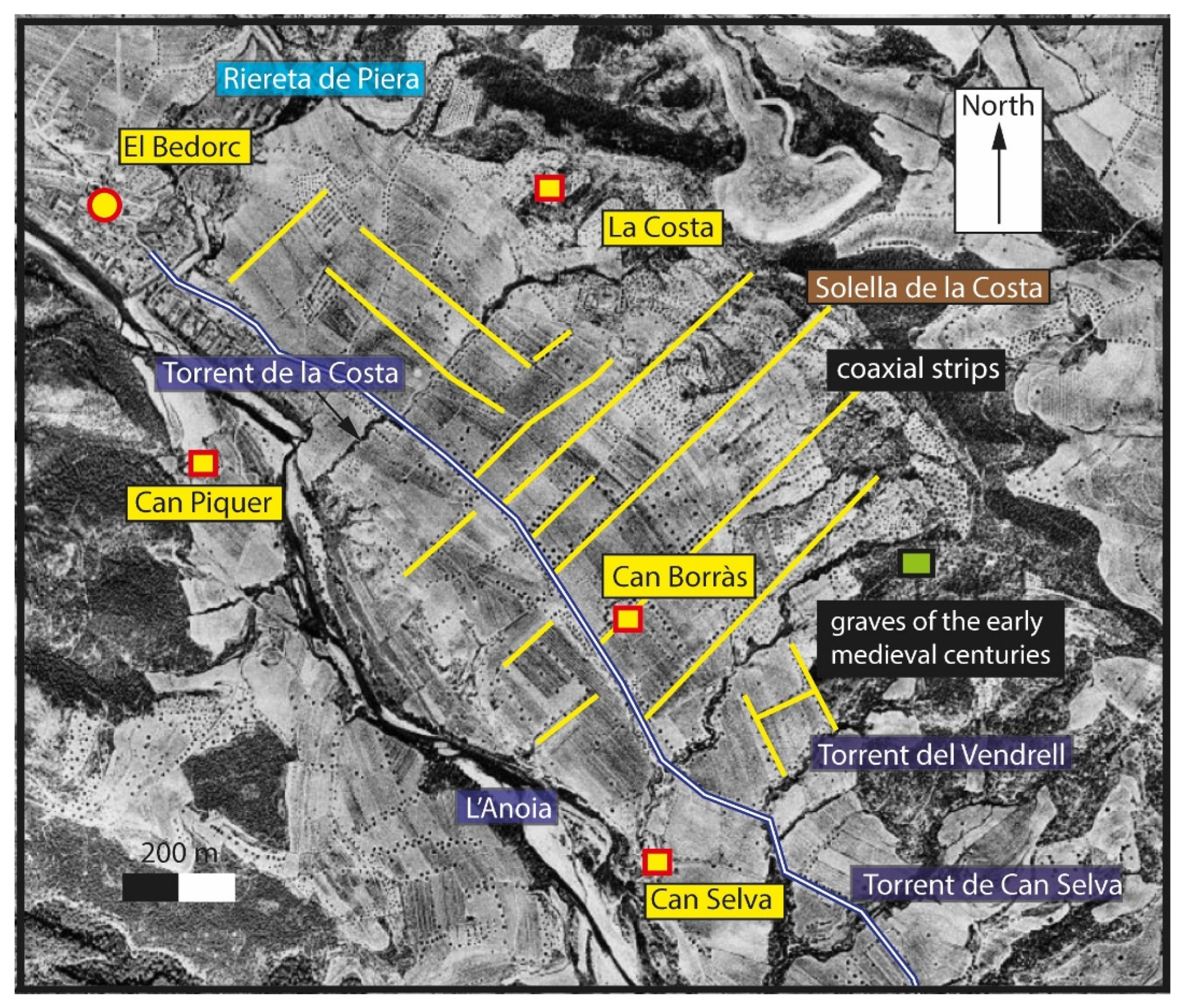 Preprints 192347 g017