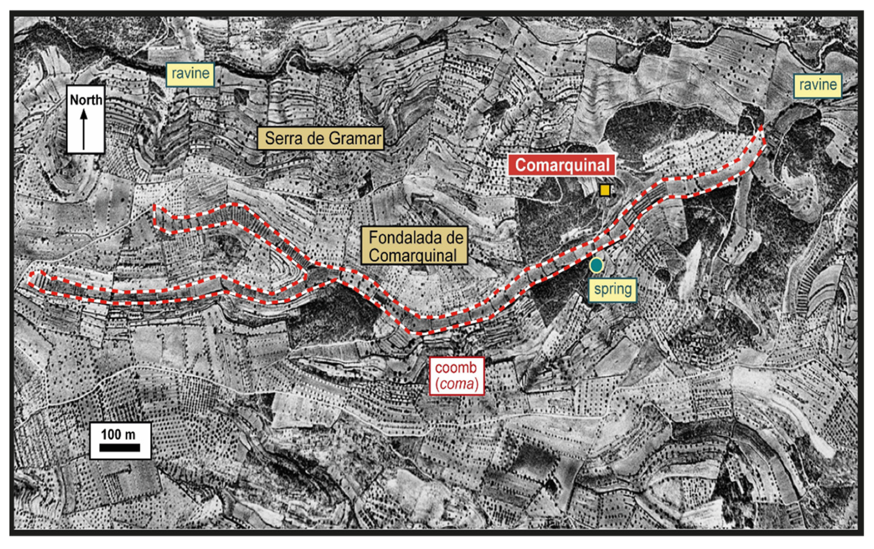 Preprints 192347 g021