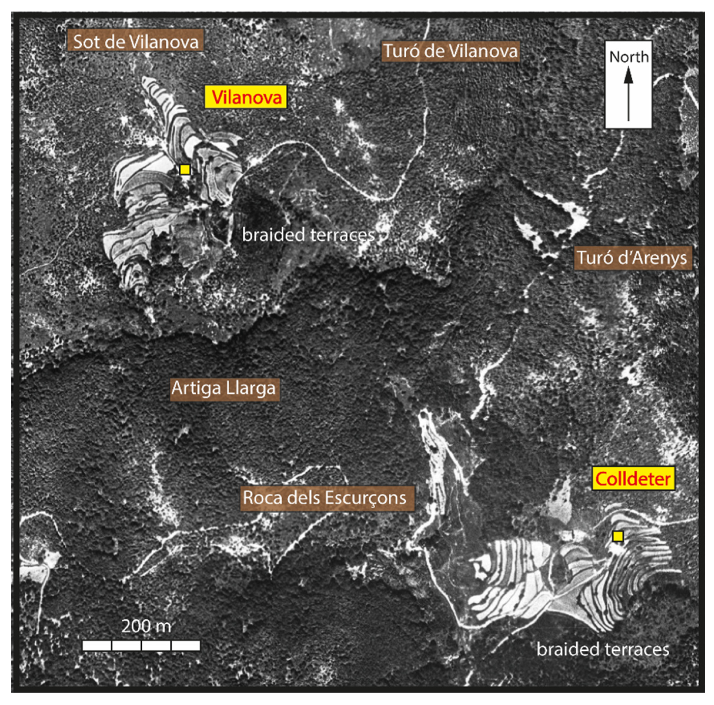Preprints 192347 g022