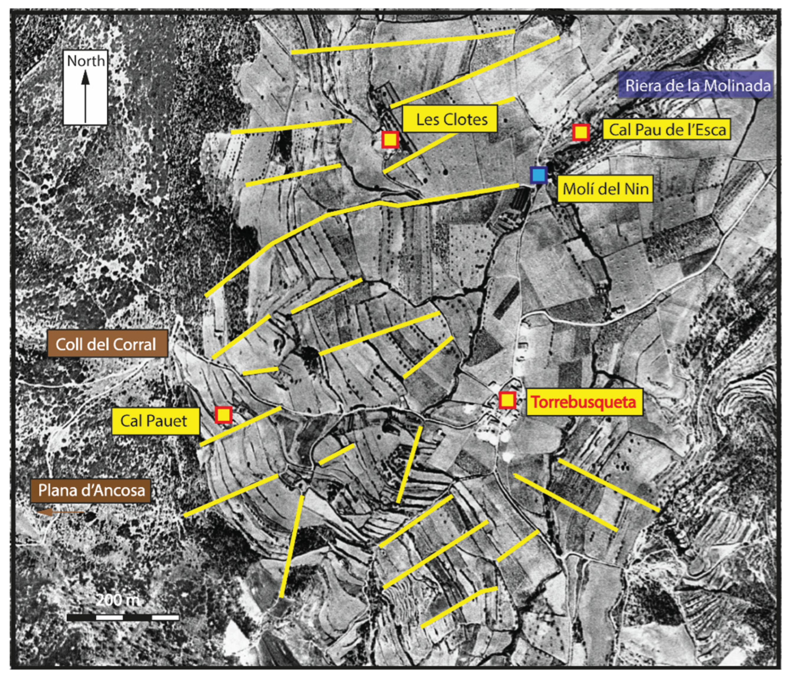 Preprints 192347 g024