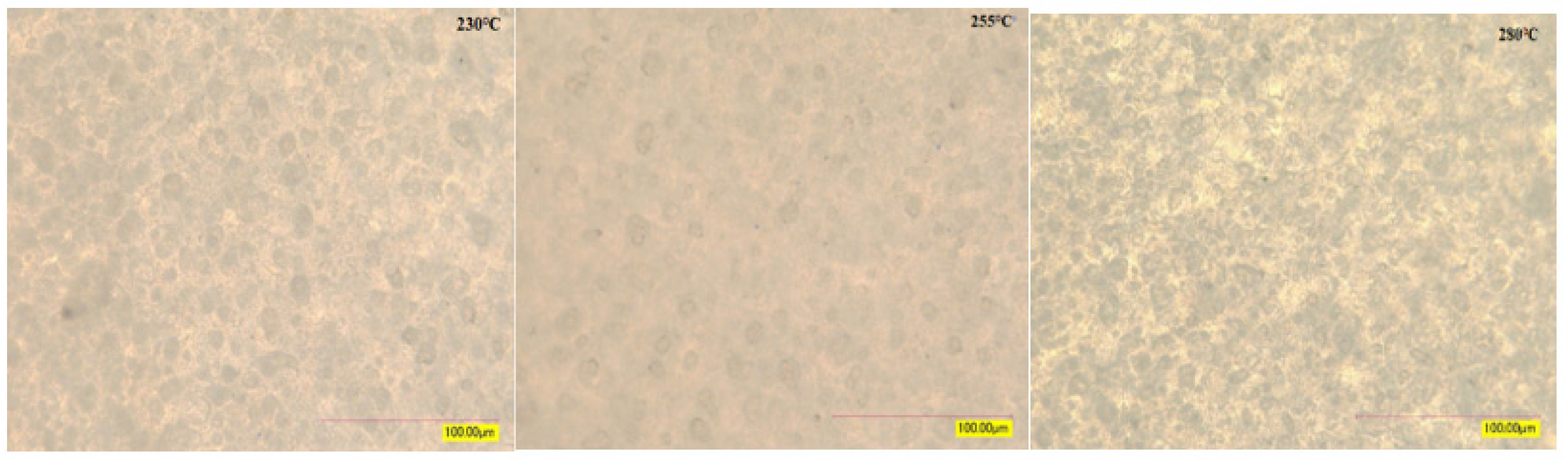 Preprints 221985 g016