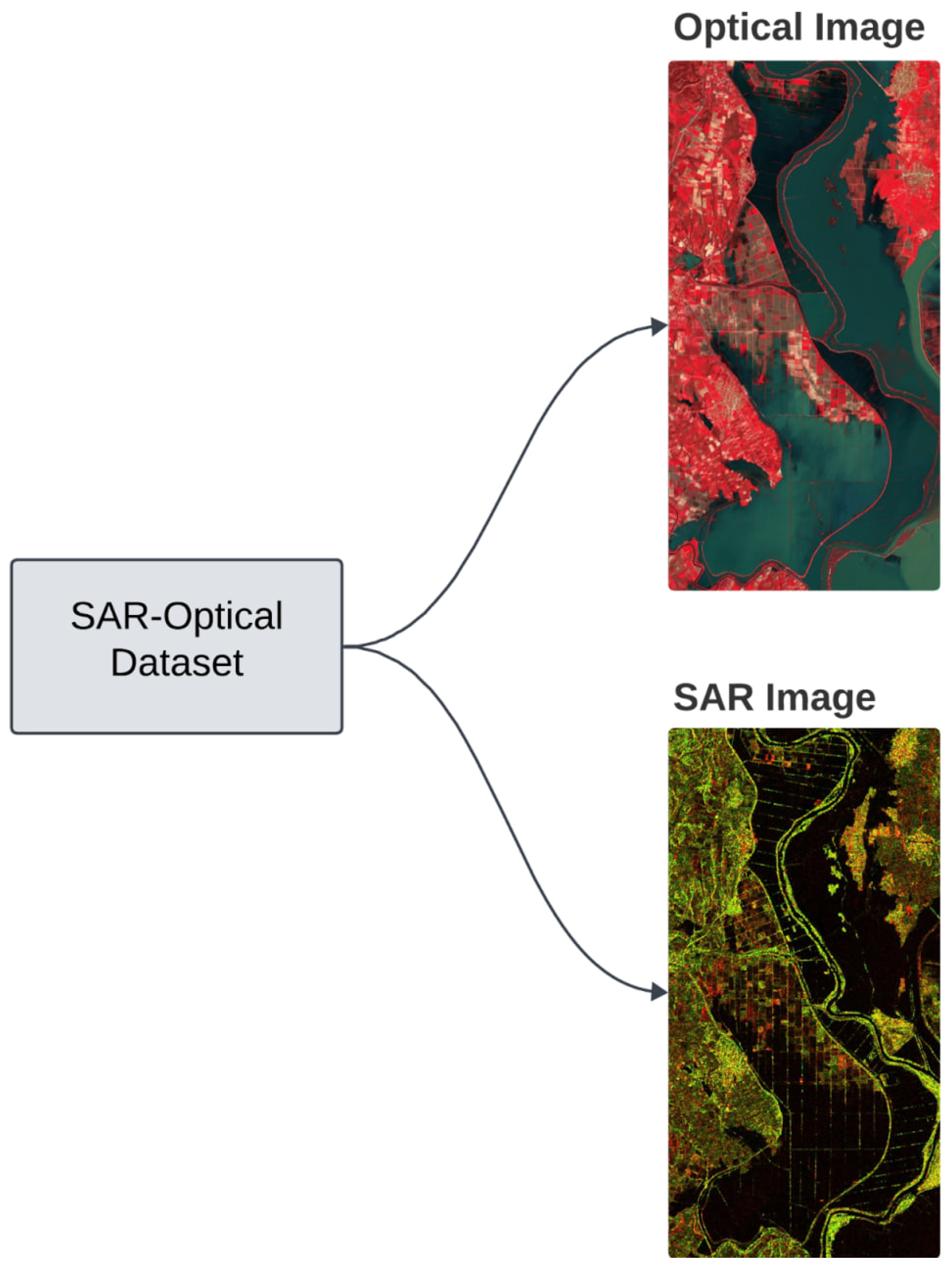 Preprints 109999 g005