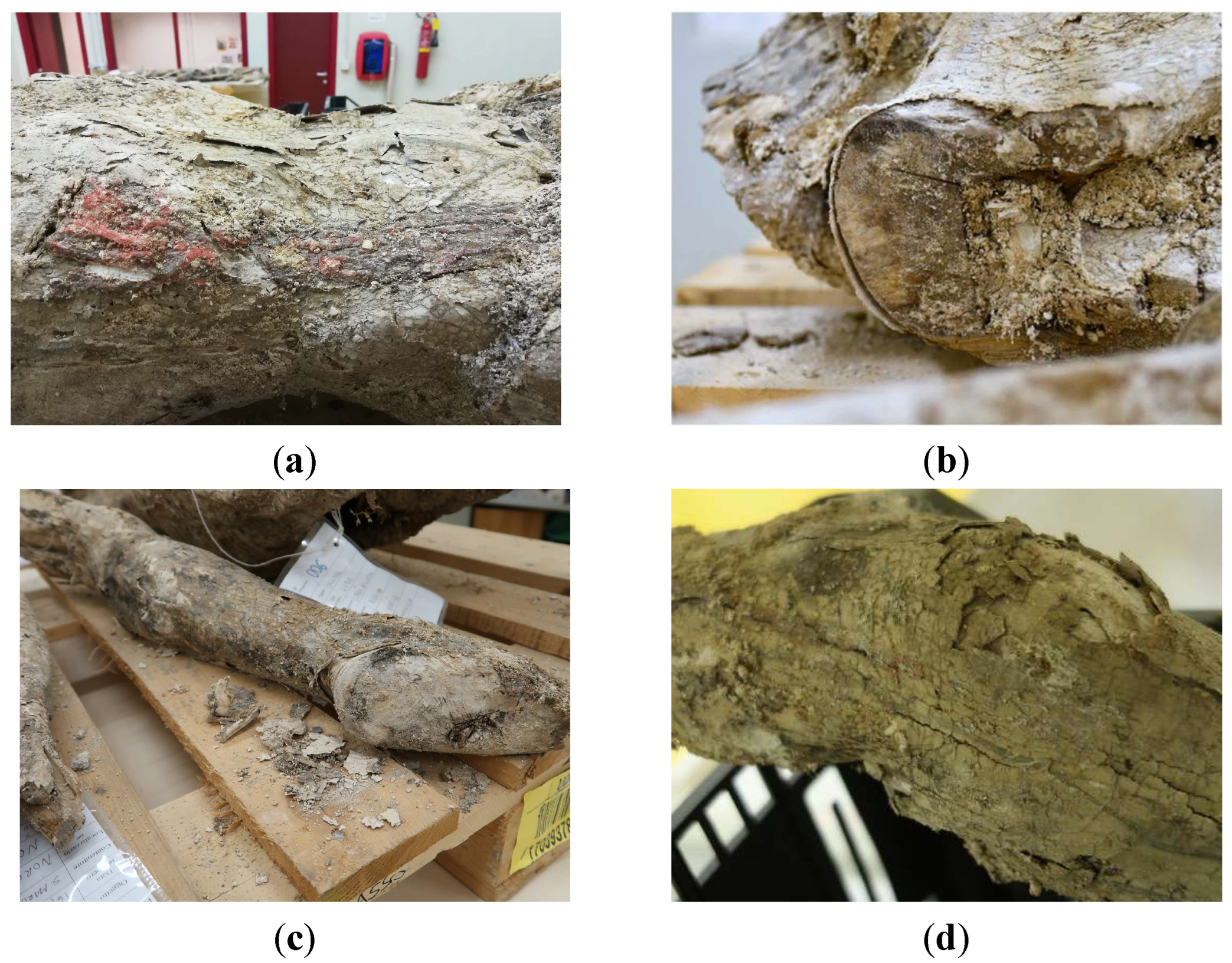 Preprints 180018 g004