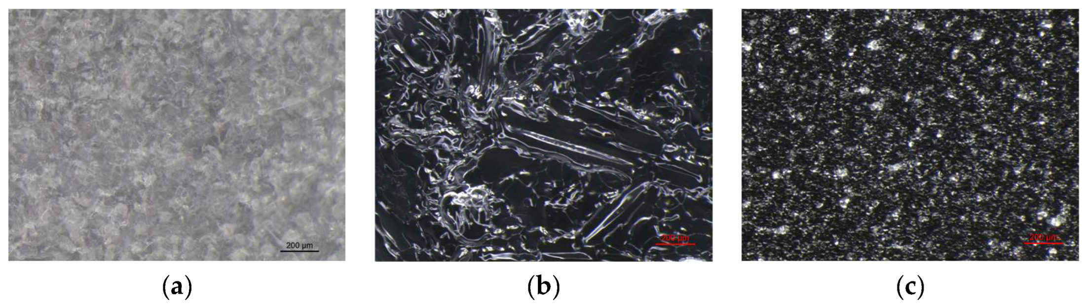 Preprints 180018 g006