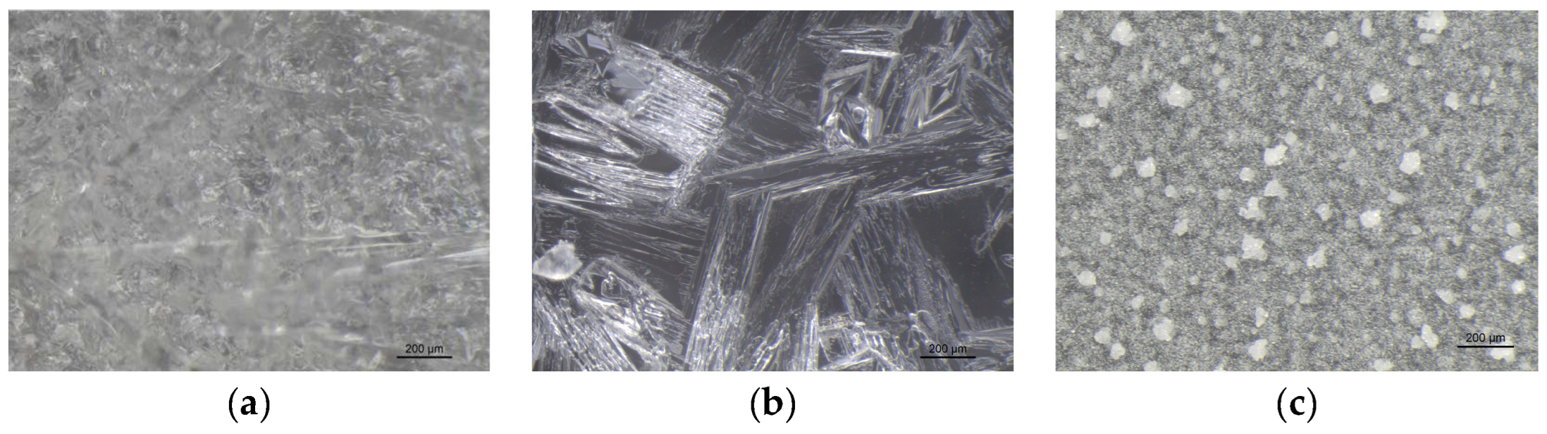Preprints 180018 g008