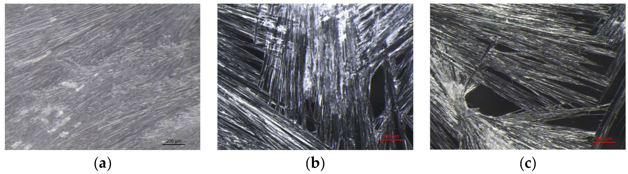 Preprints 180018 g010