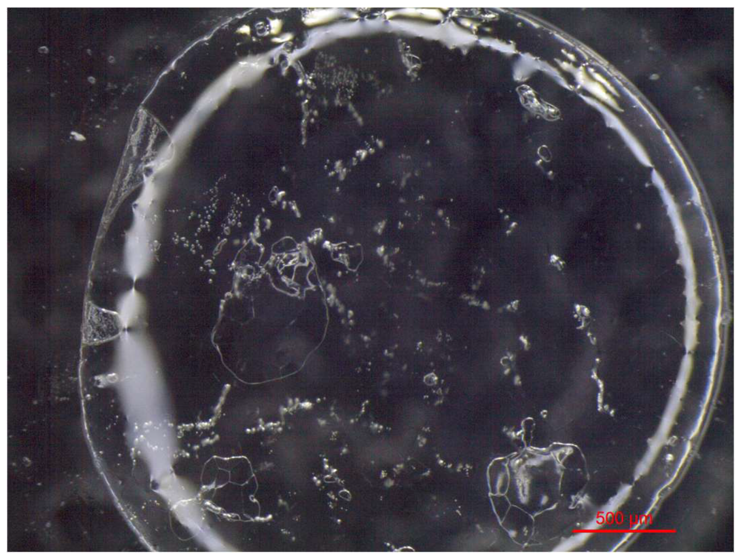 Preprints 180018 g011