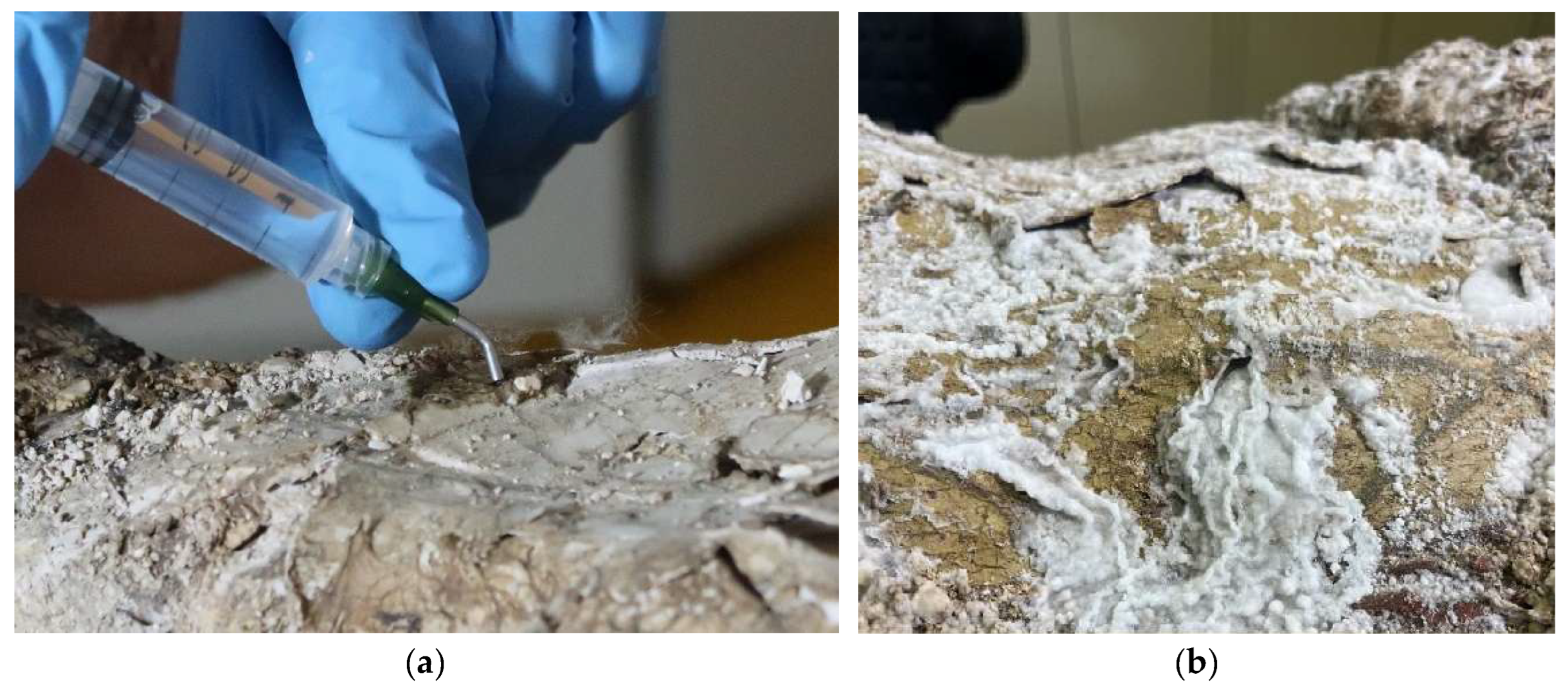 Preprints 180018 g014