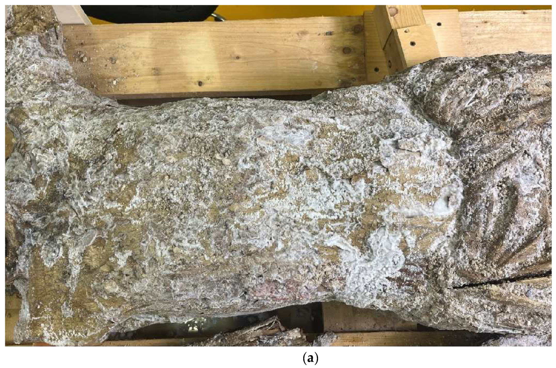 Preprints 180018 g015a