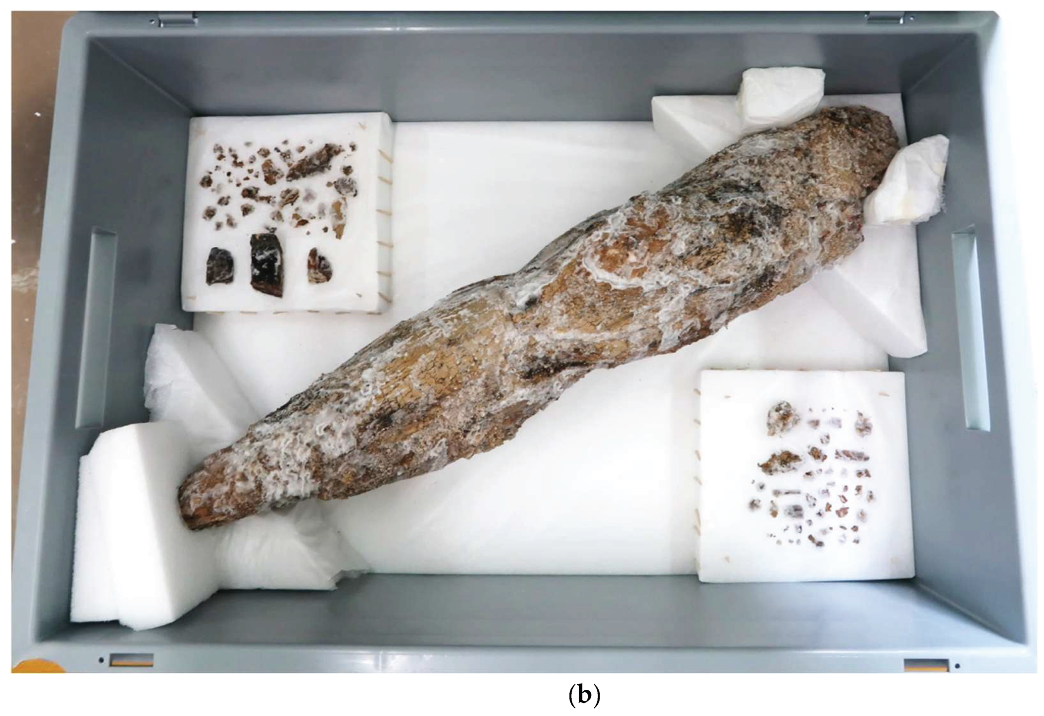 Preprints 180018 g015b