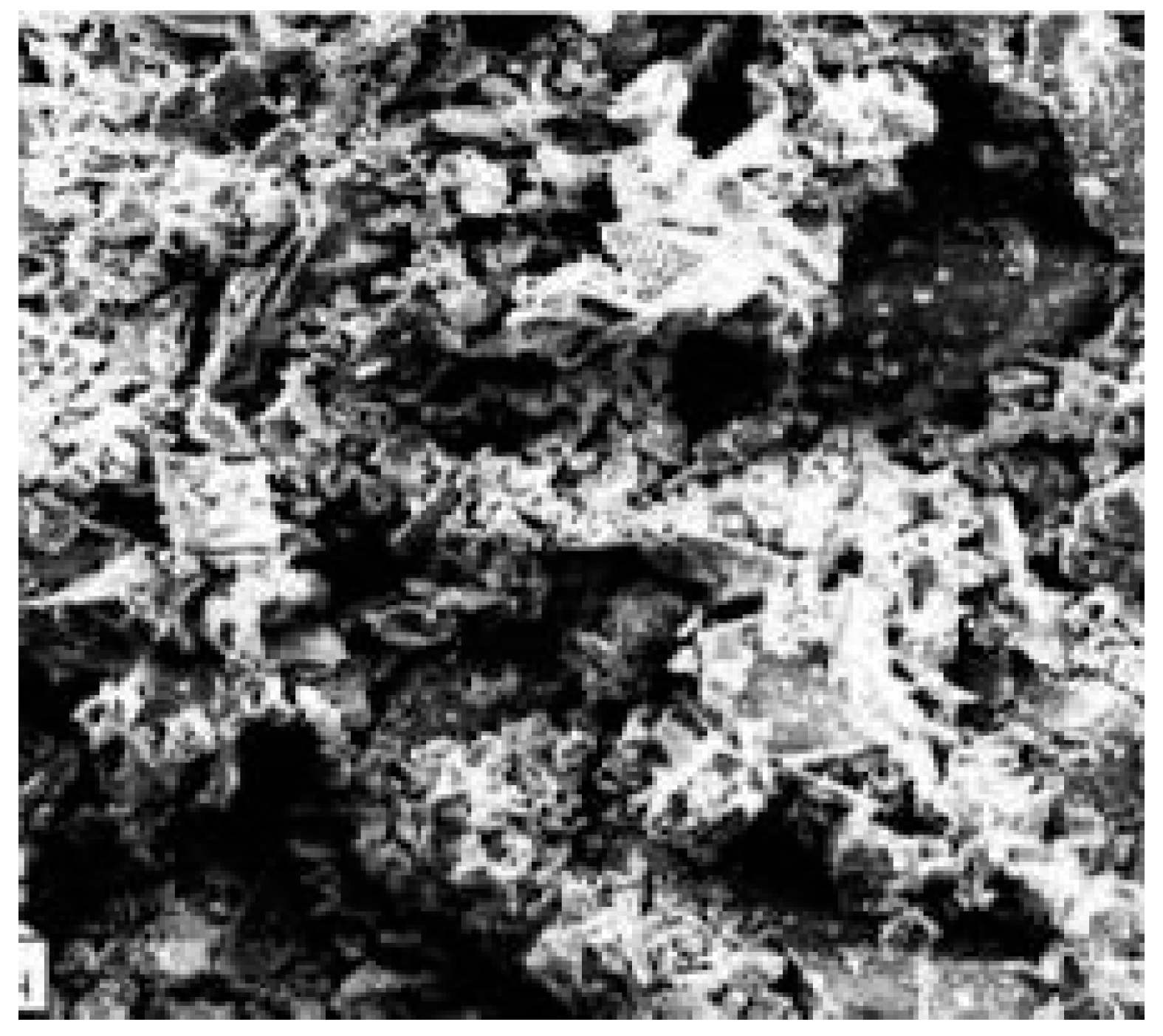 Preprints 144342 g004a