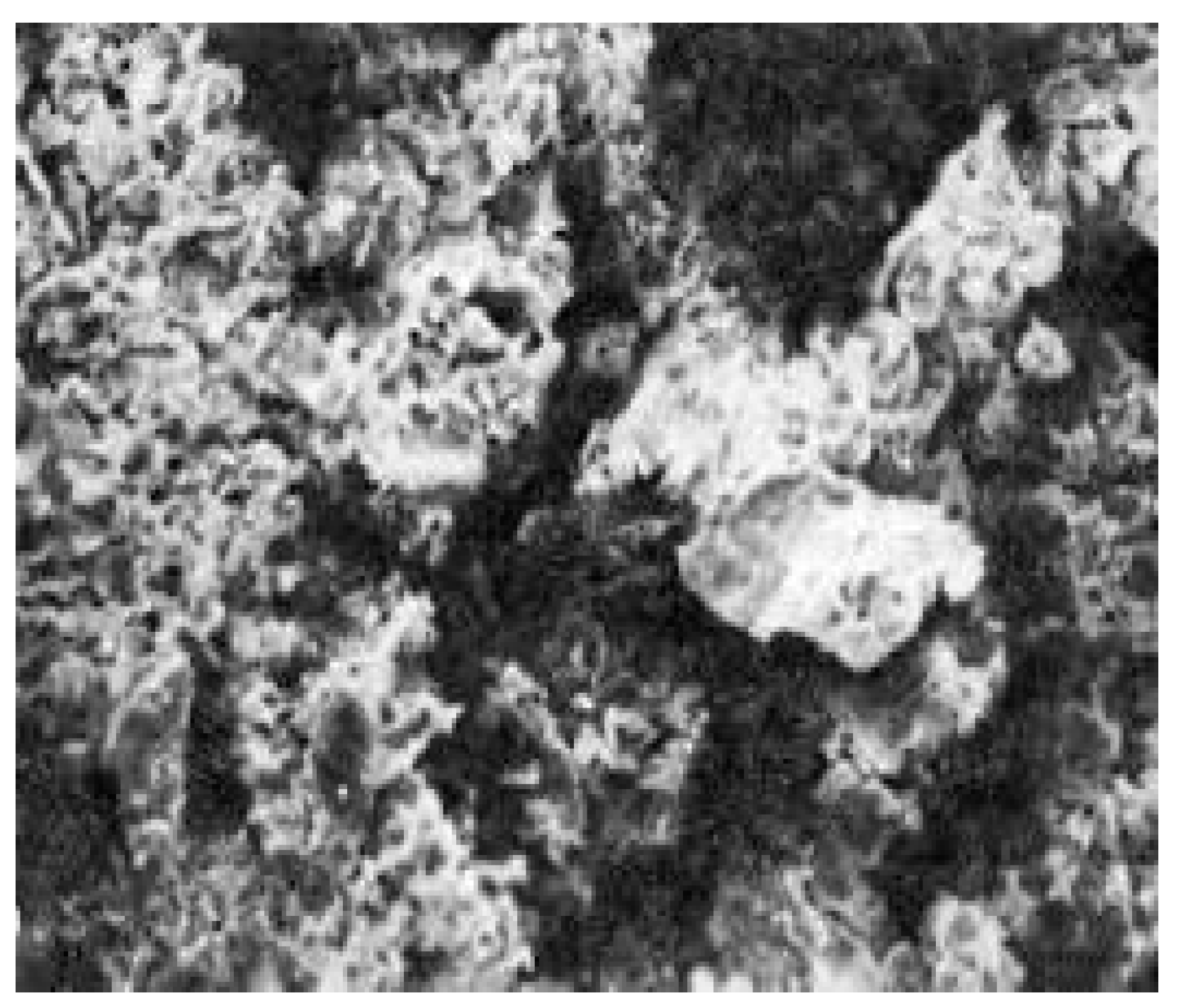 Preprints 144342 g004b